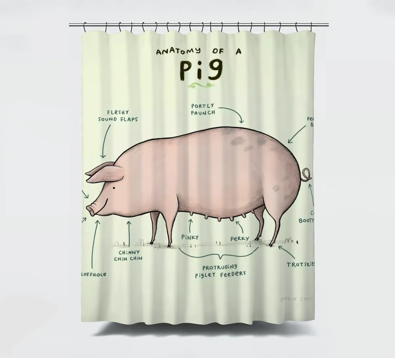 Anatomy Of A Pig tenda da doccia da Sophie Corrigan