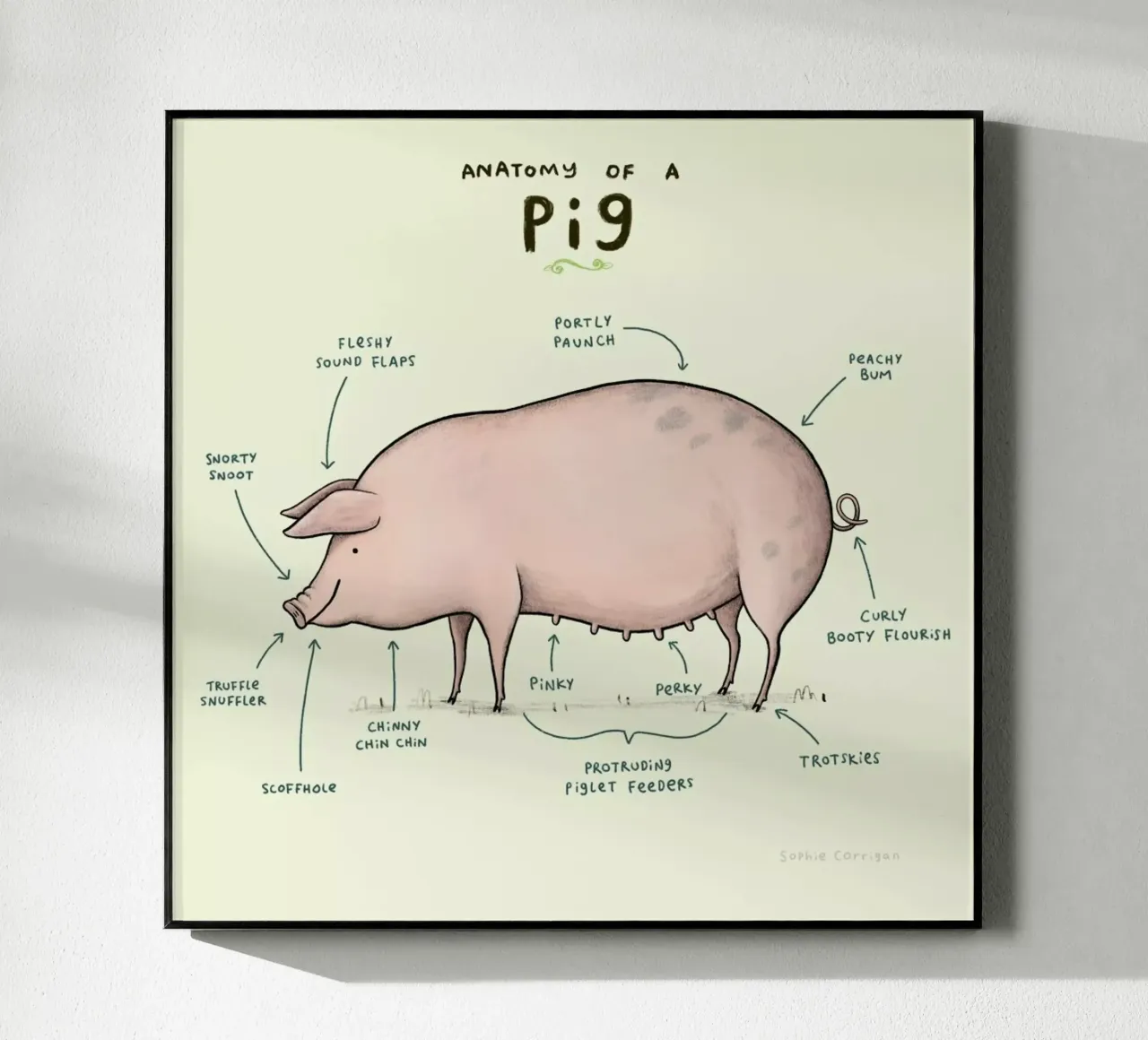 Anatomy Of A Pig plexiglass da Sophie Corrigan