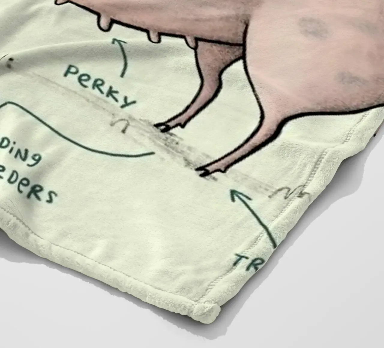 Anatomy Of A Pig coperta in pile da Sophie Corrigan