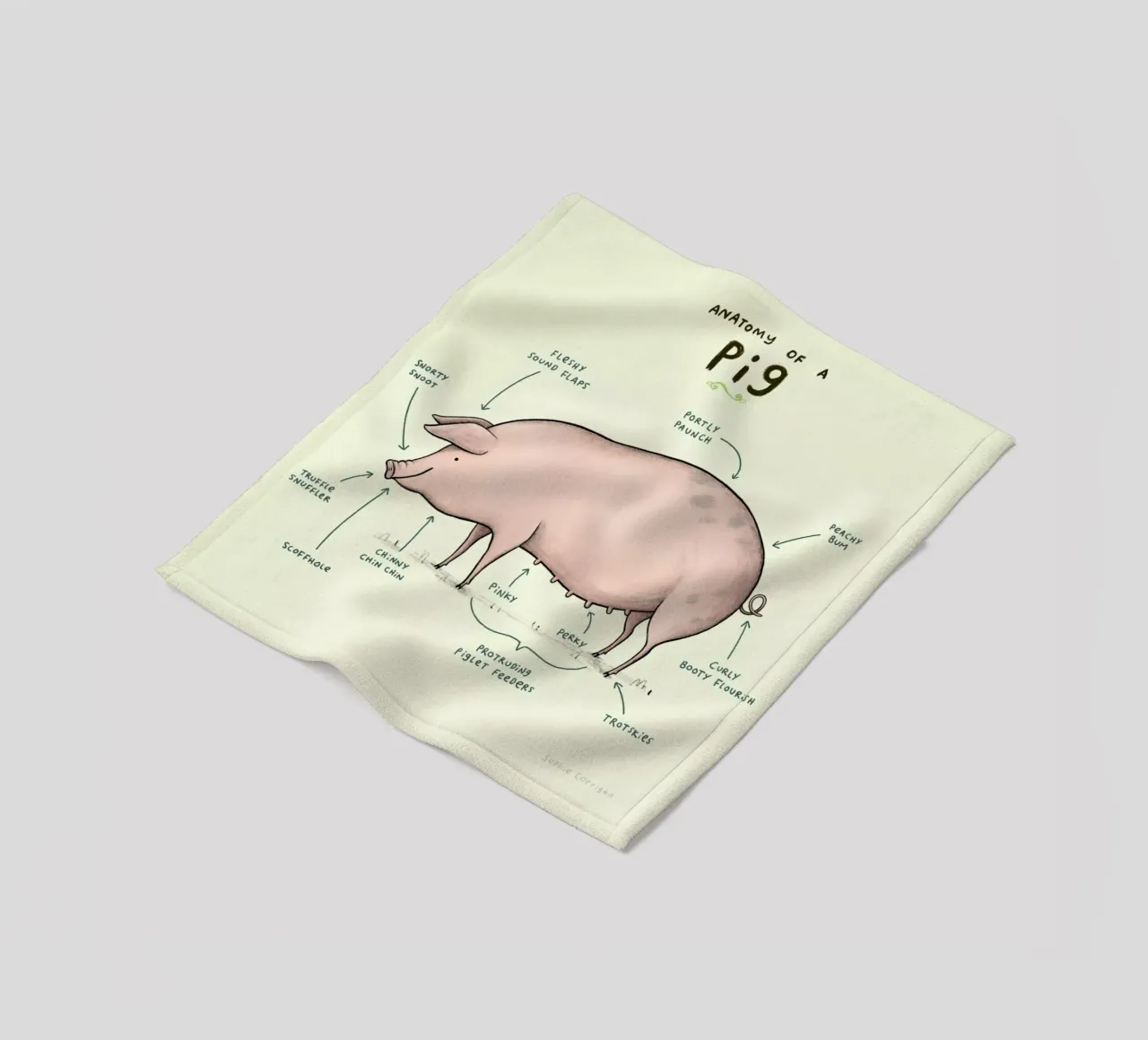 Anatomy Of A Pig coperta in pile da Sophie Corrigan