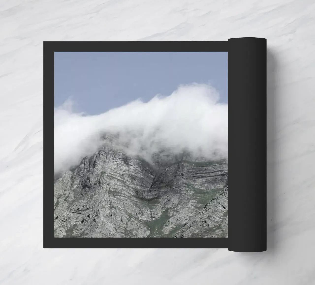 Berg zerbino da Shot By Clint