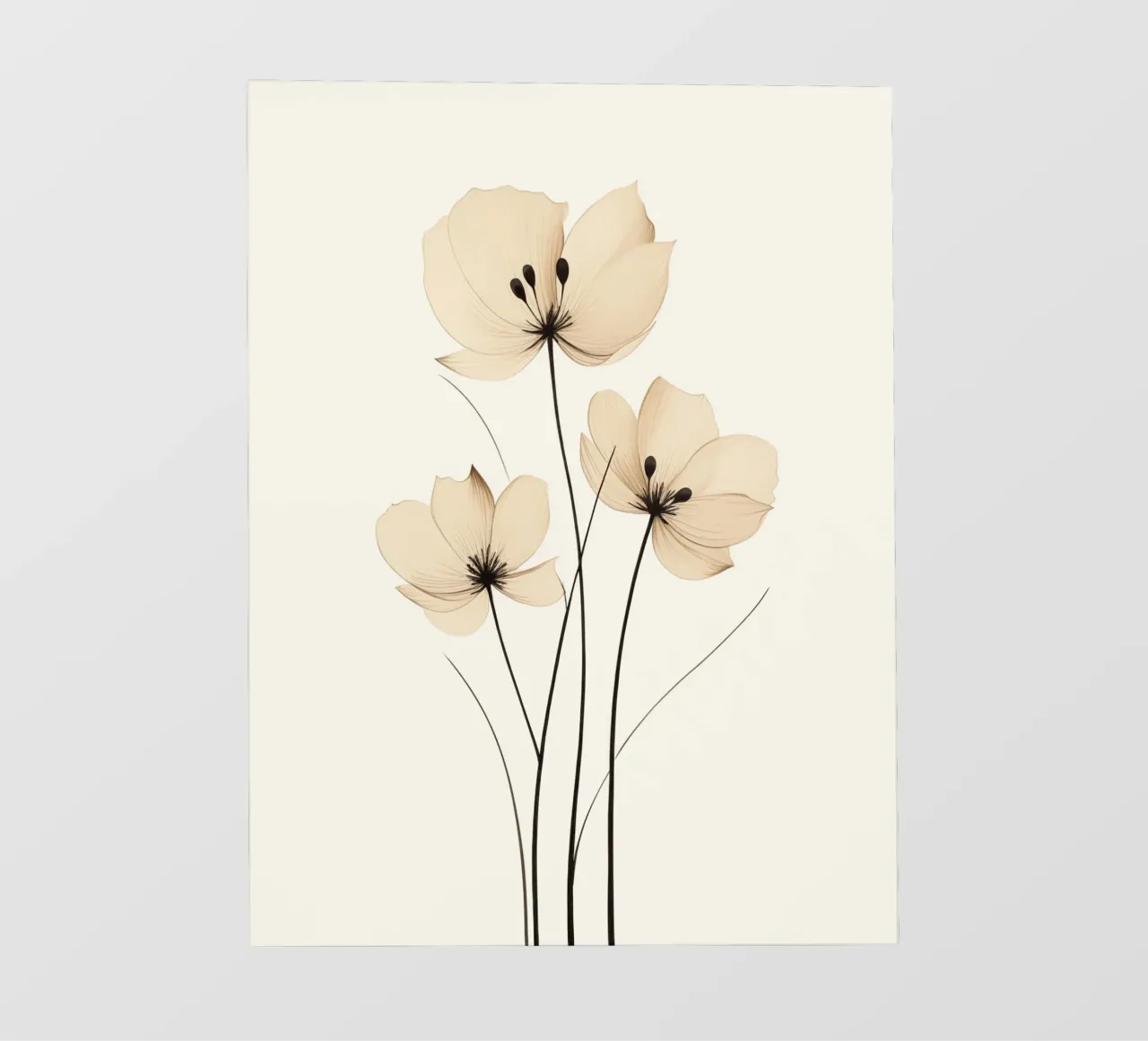 Fiori beige pellicola backlit da Imagine