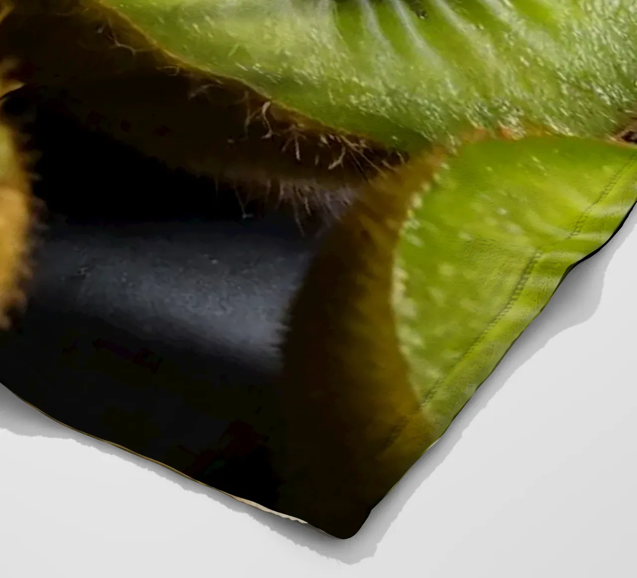 I kiwi appena tagliati sono esposti in vivaci tonalità di verde coperta in pile da DesignDoodle