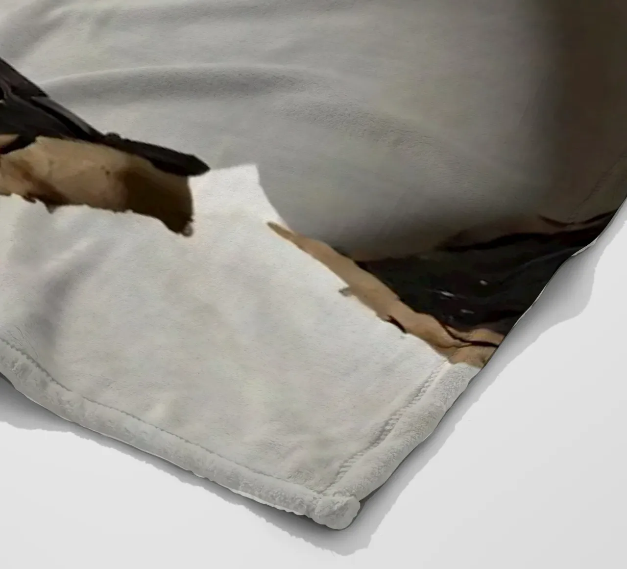 Un grande foro irregolare in una parete bianca rivela carta strappata. coperta in pile da DesignDoodle