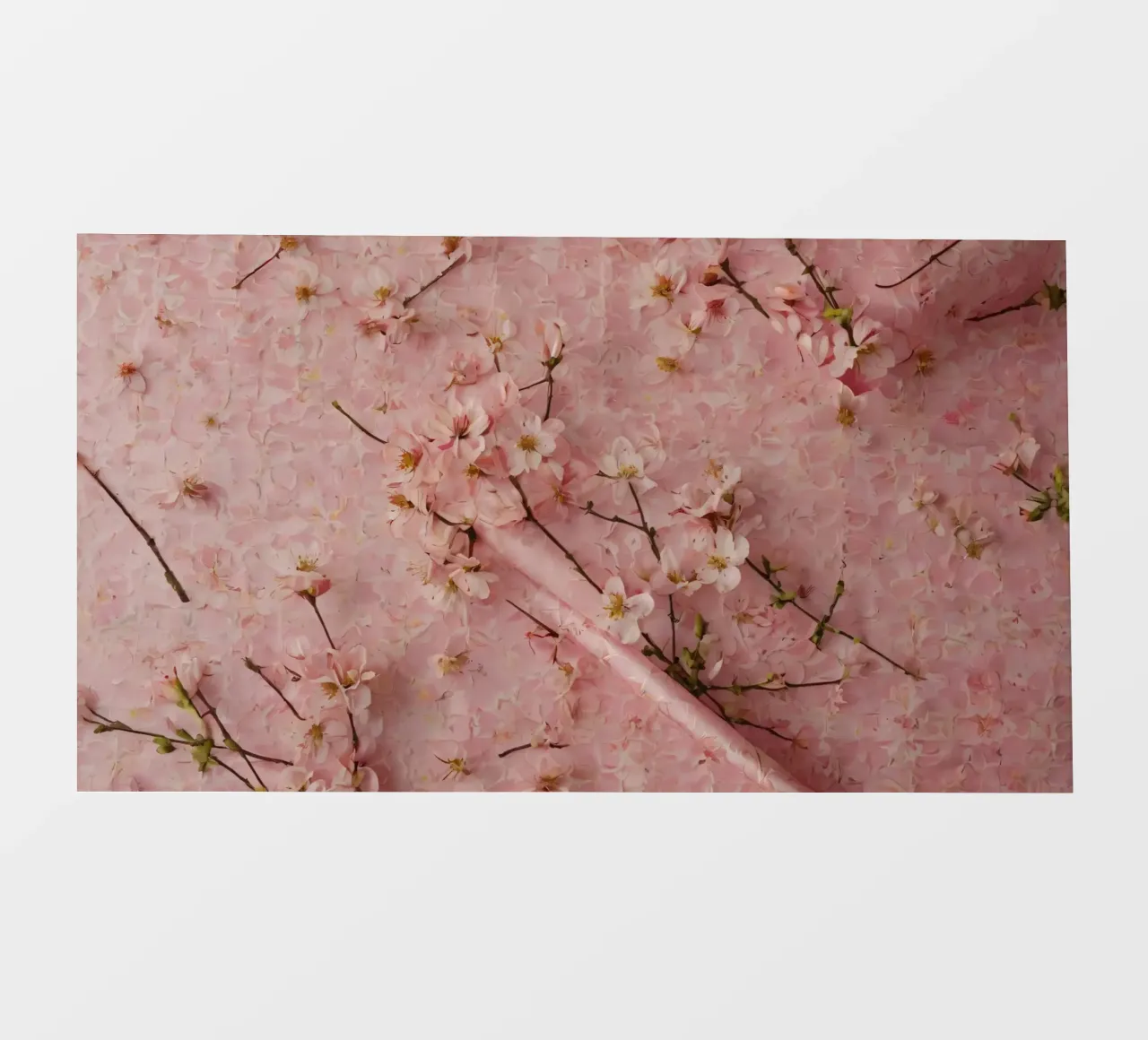Delicati fiori di ciliegio rosa disposti su un tappeto rosa tenue telo in pvc da DesignDoodle