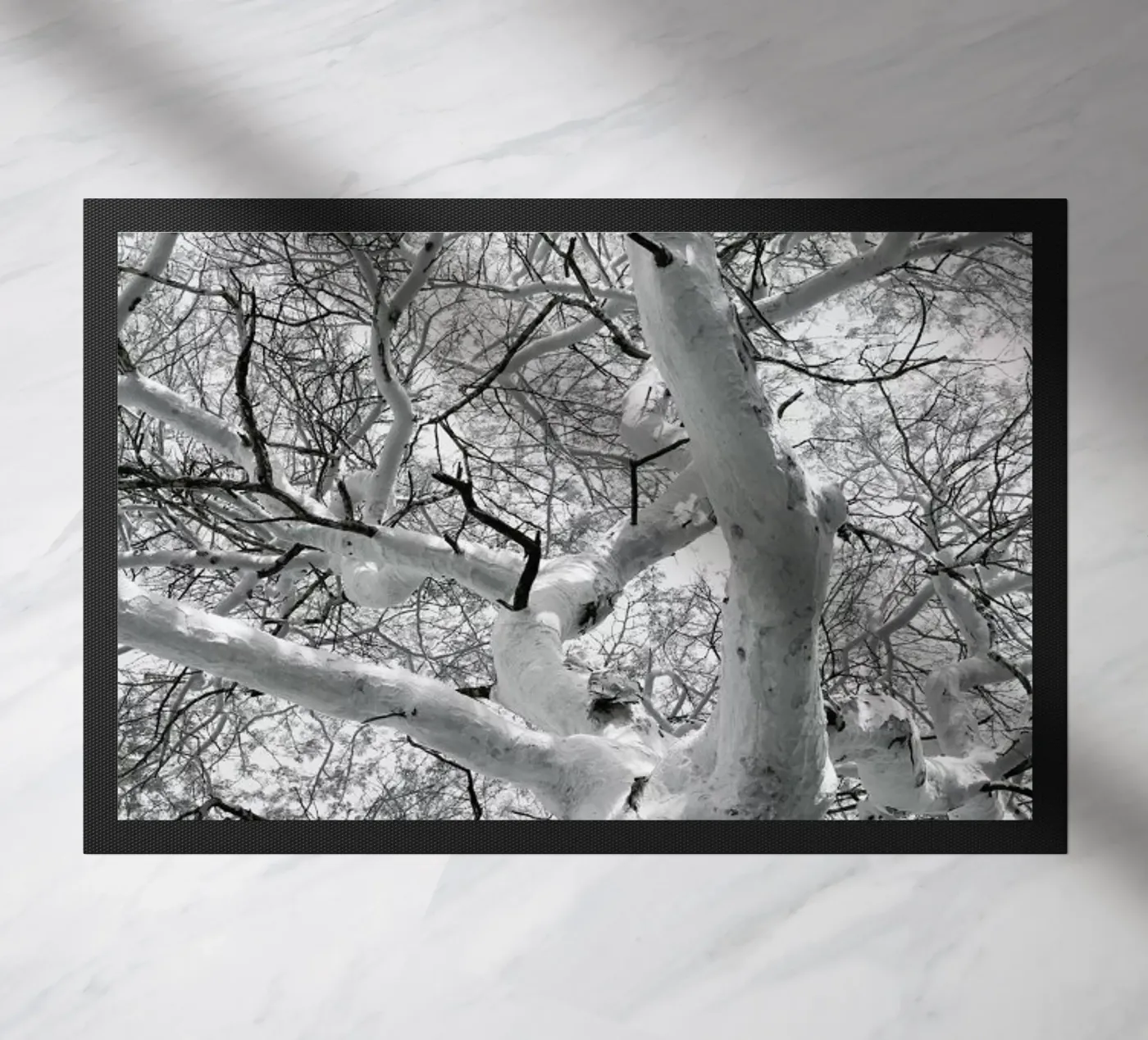 Fever zerbino da Shot By Clint