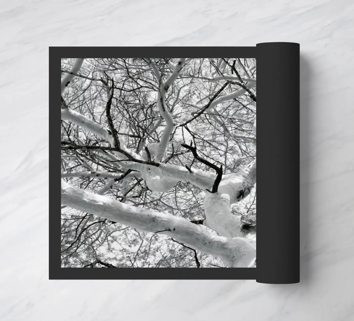 Fever zerbino da Shot By Clint