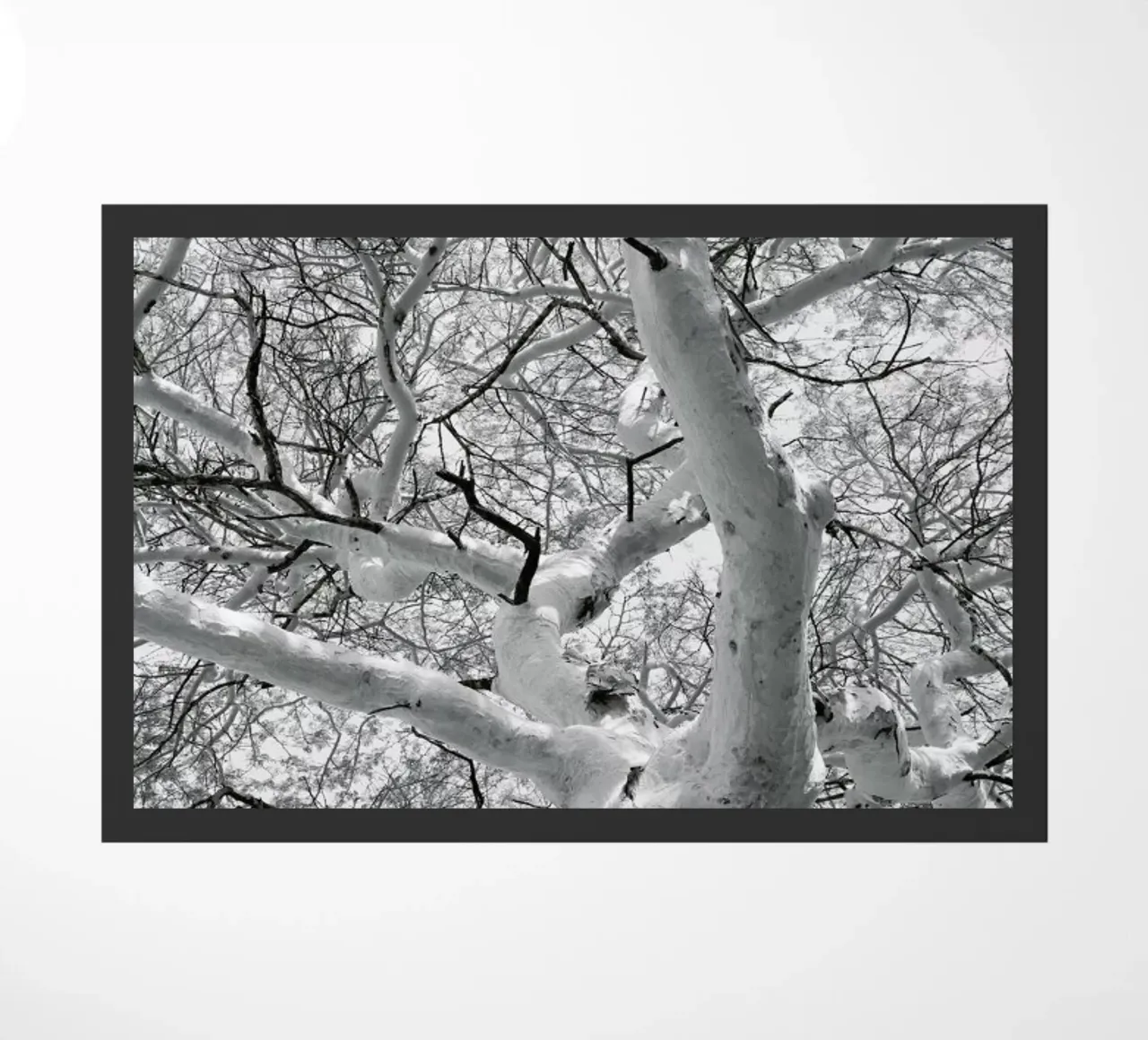 Fever doormat by Shot By Clint