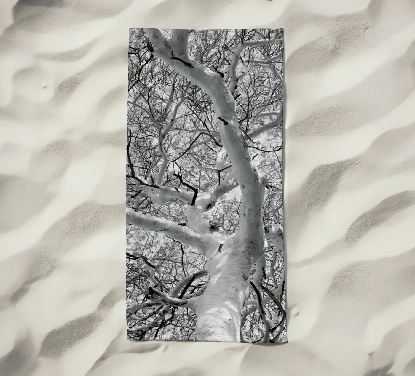 Fever telo mare da Shot By Clint