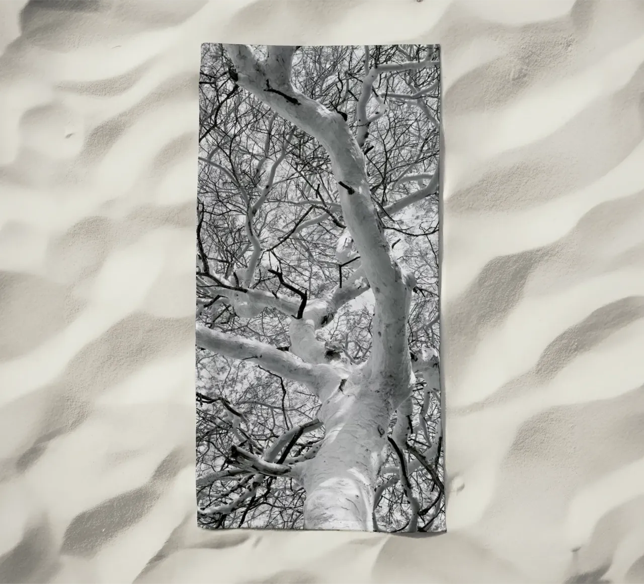 Fever telo mare da Shot By Clint