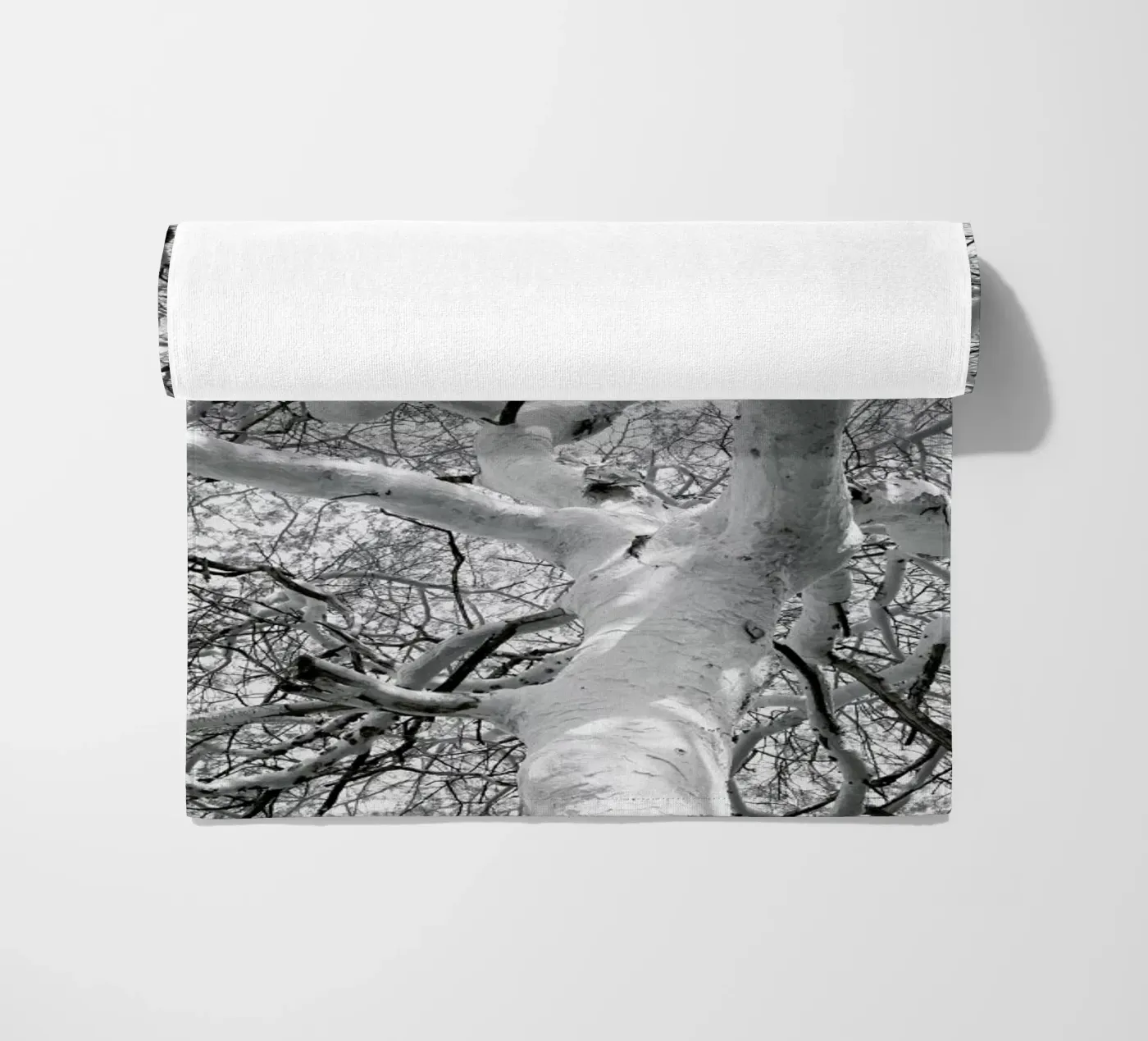 Fever telo mare da Shot By Clint