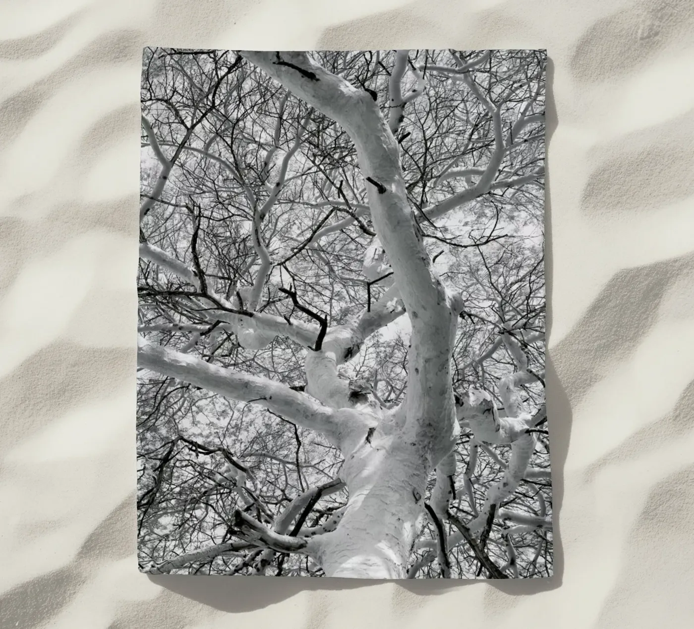 Fever telo mare da Shot By Clint