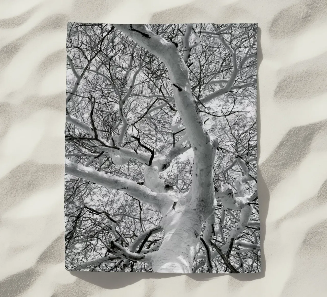 Fever telo mare da Shot By Clint