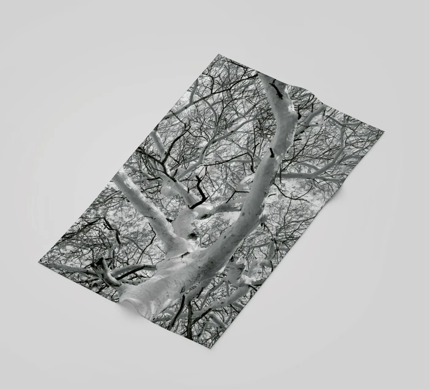 Fever telo mare da Shot By Clint