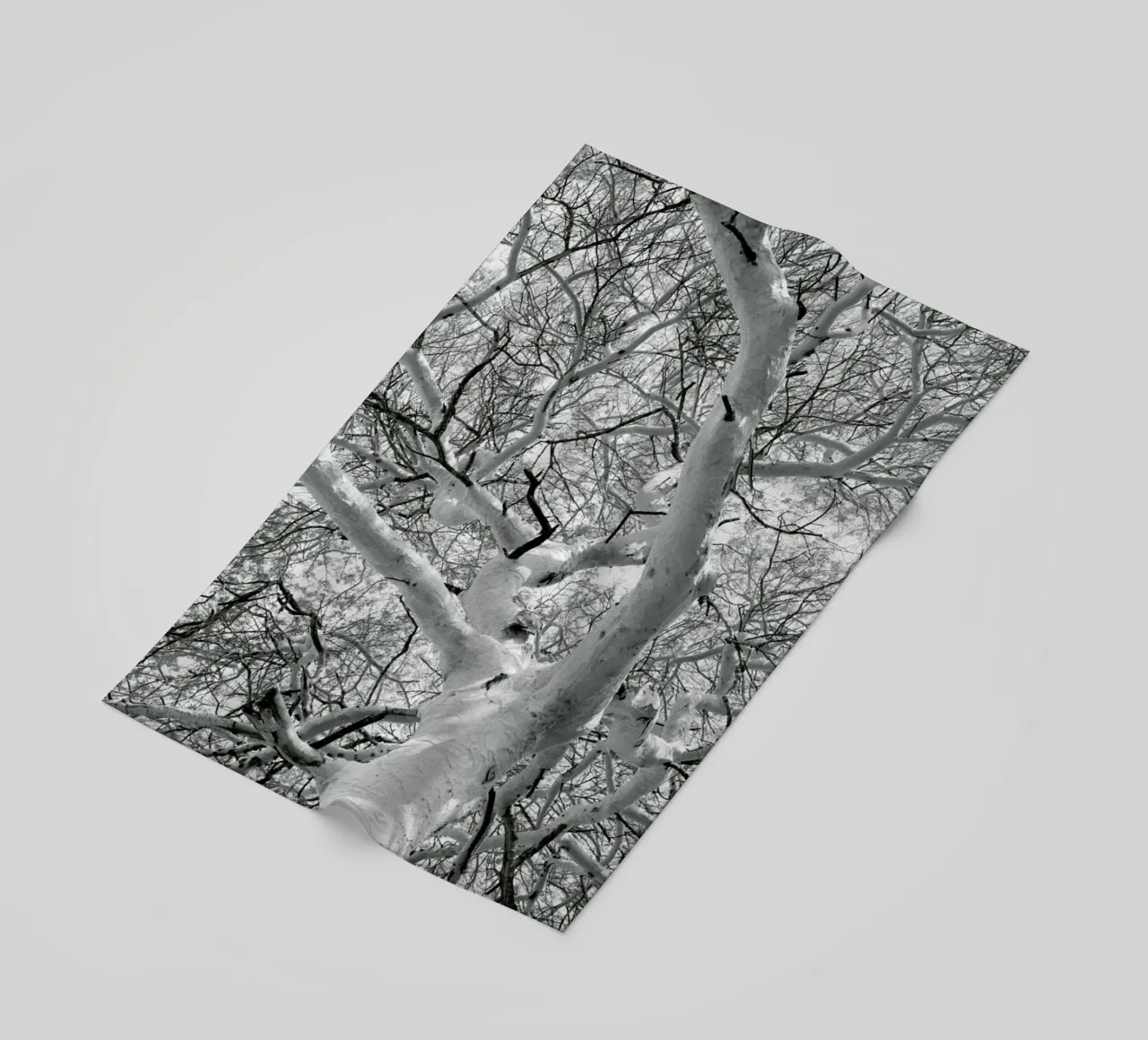 Fever telo mare da Shot By Clint