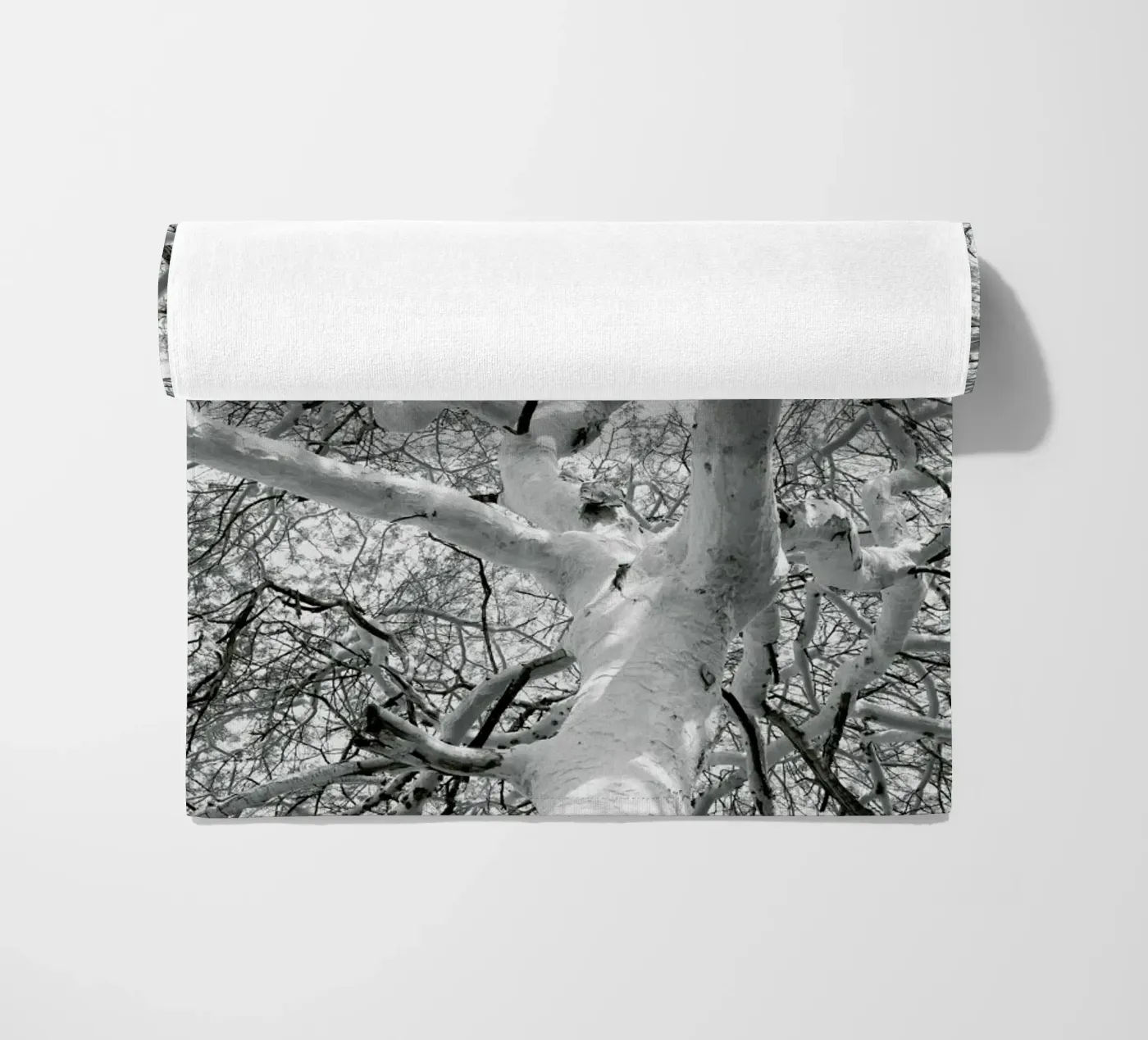 Fever telo mare da Shot By Clint