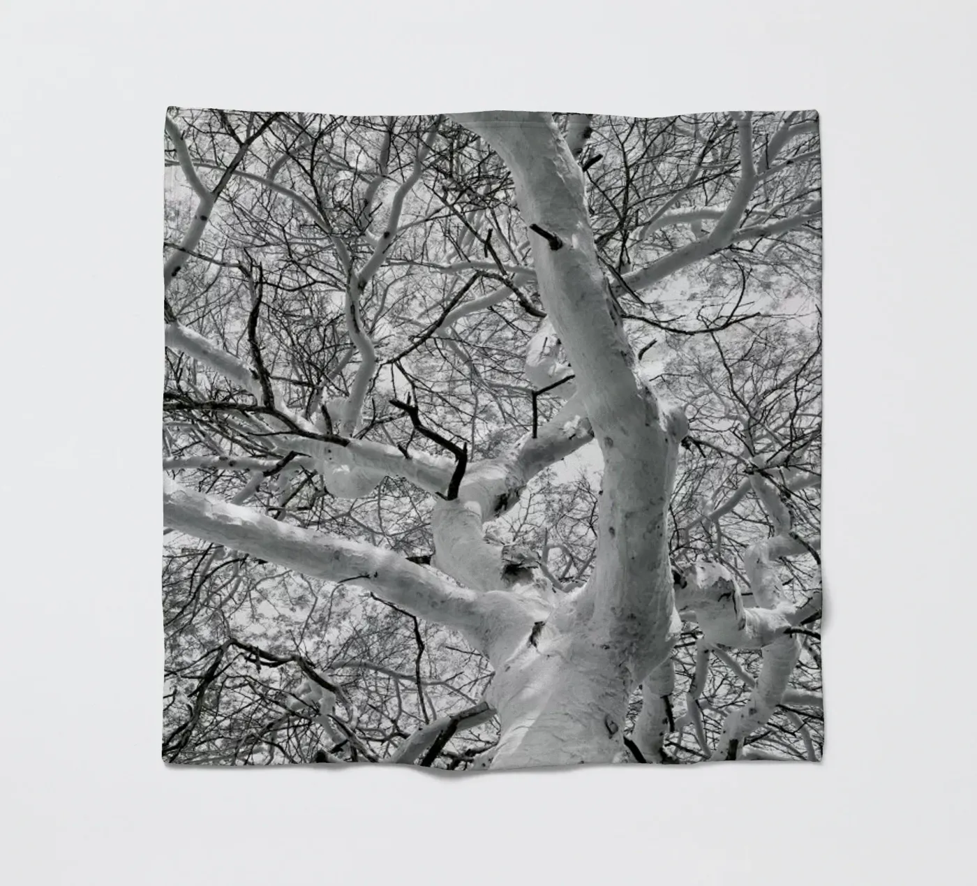 Fever coperta in pile da Shot By Clint