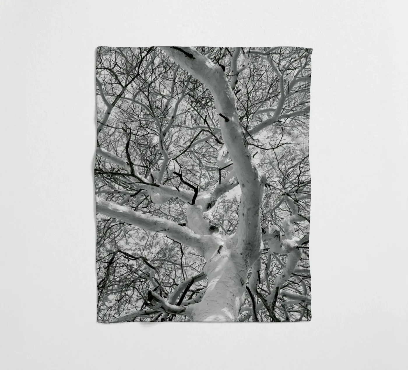 Fever coperta in pile da Shot By Clint