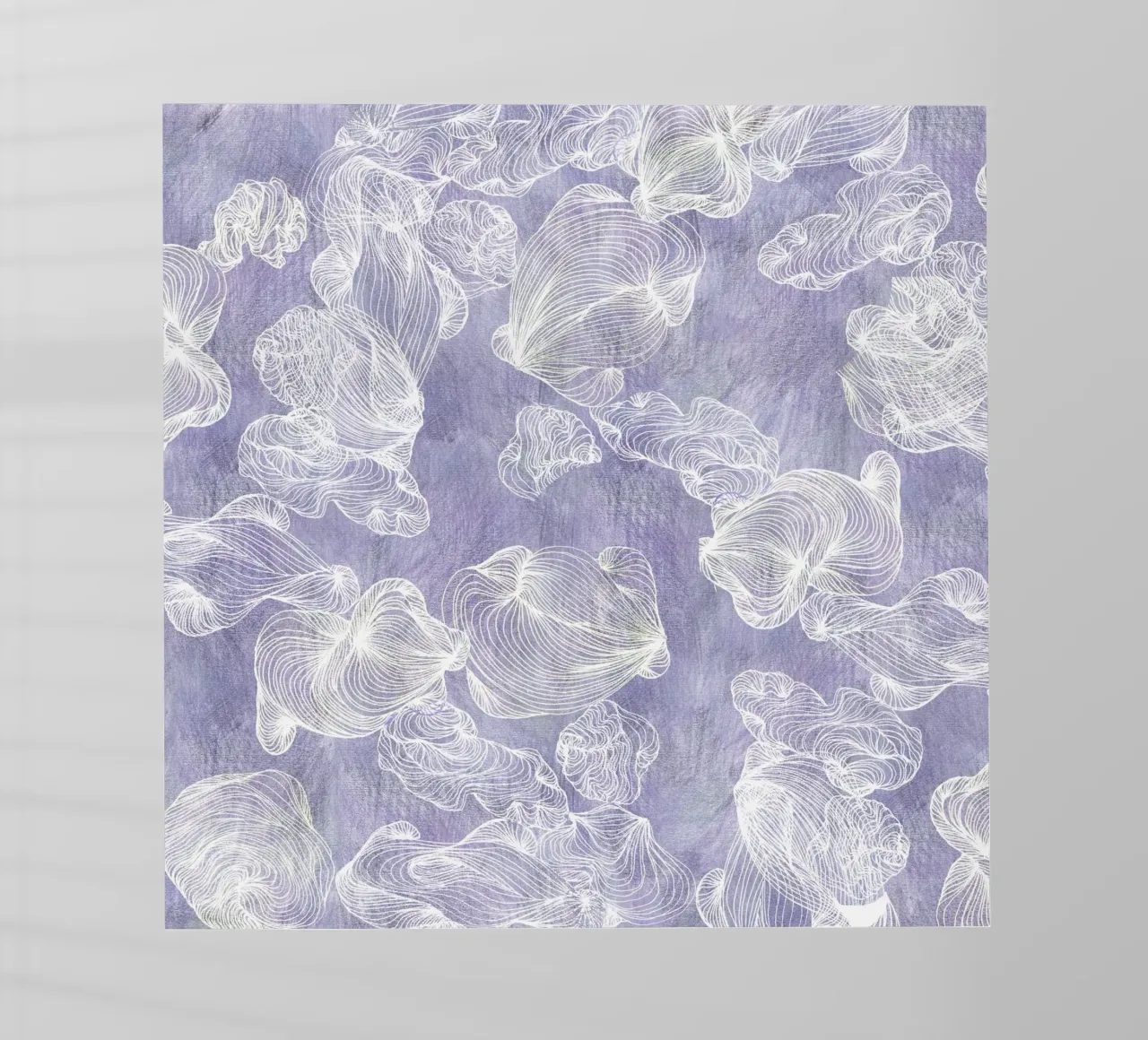 conchiglie ghost pellicola backlit da Giulio Iurissevich