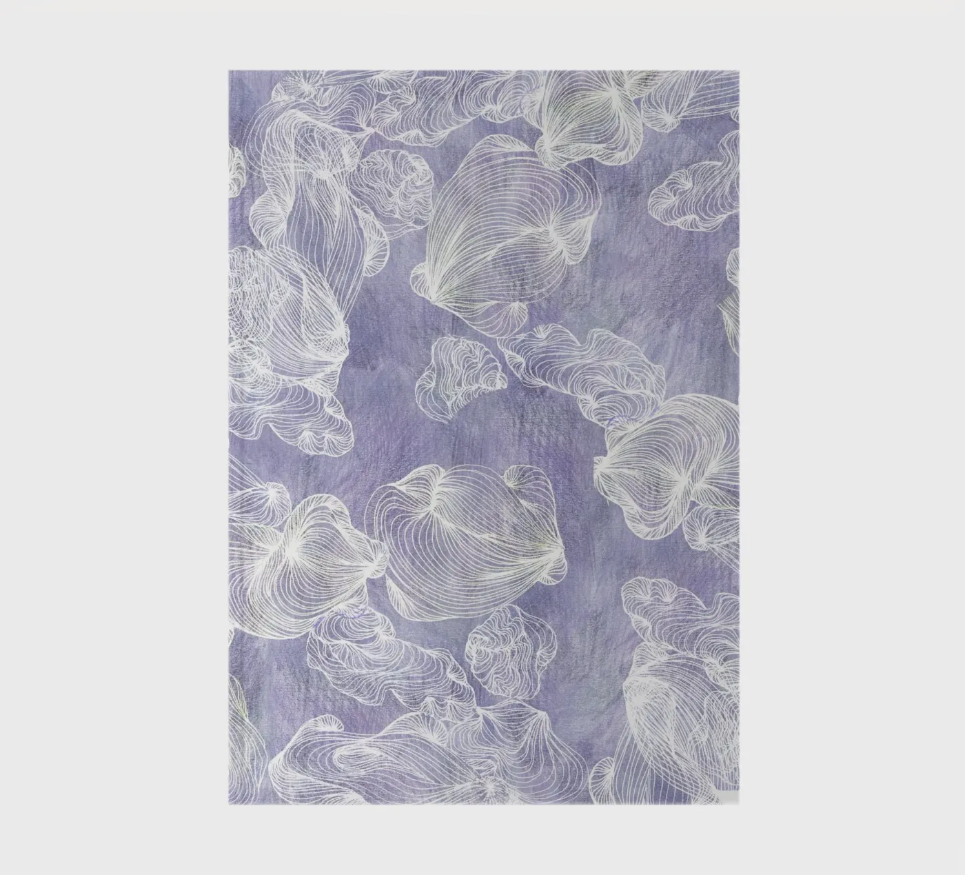 ghost shells carnet de Giulio Iurissevich