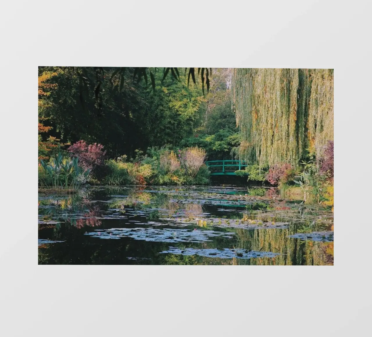 ninfee immagine speculare claude monet pellicola backlit da belong shop