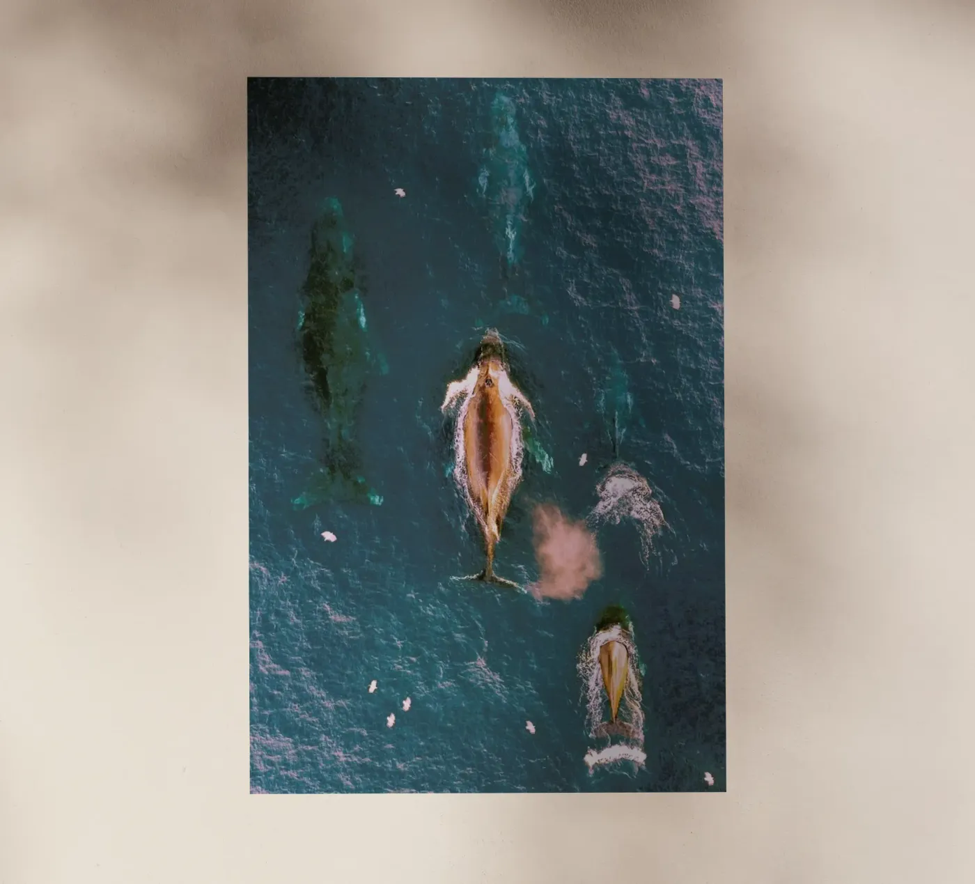 Making Waves backlit folie van EyeEm Mobile GmbH