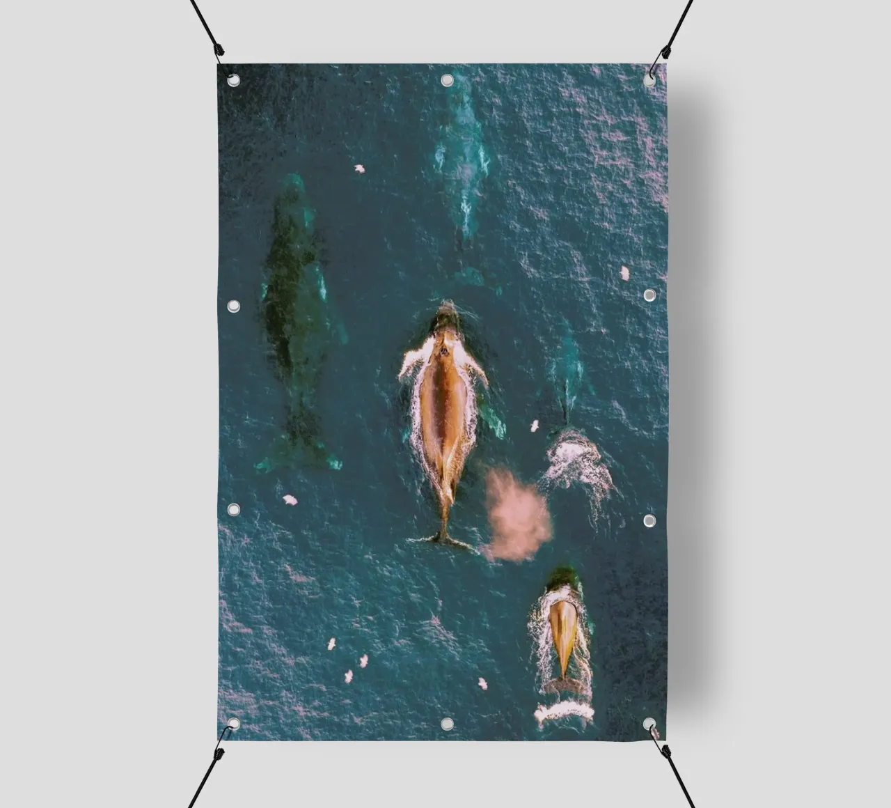 Making Waves telo in pvc da EyeEm Mobile GmbH