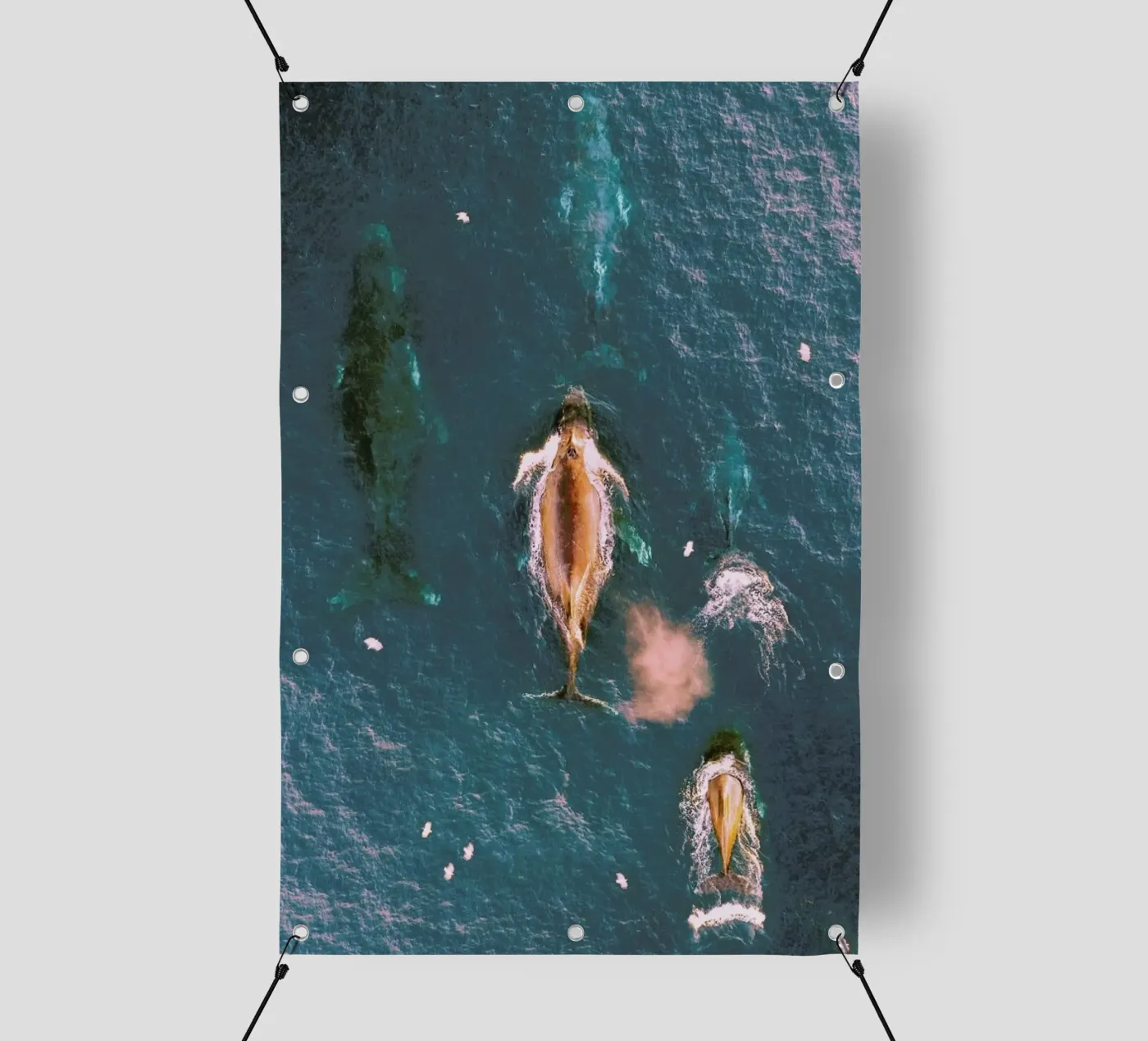 Making Waves telo in pvc da EyeEm Mobile GmbH