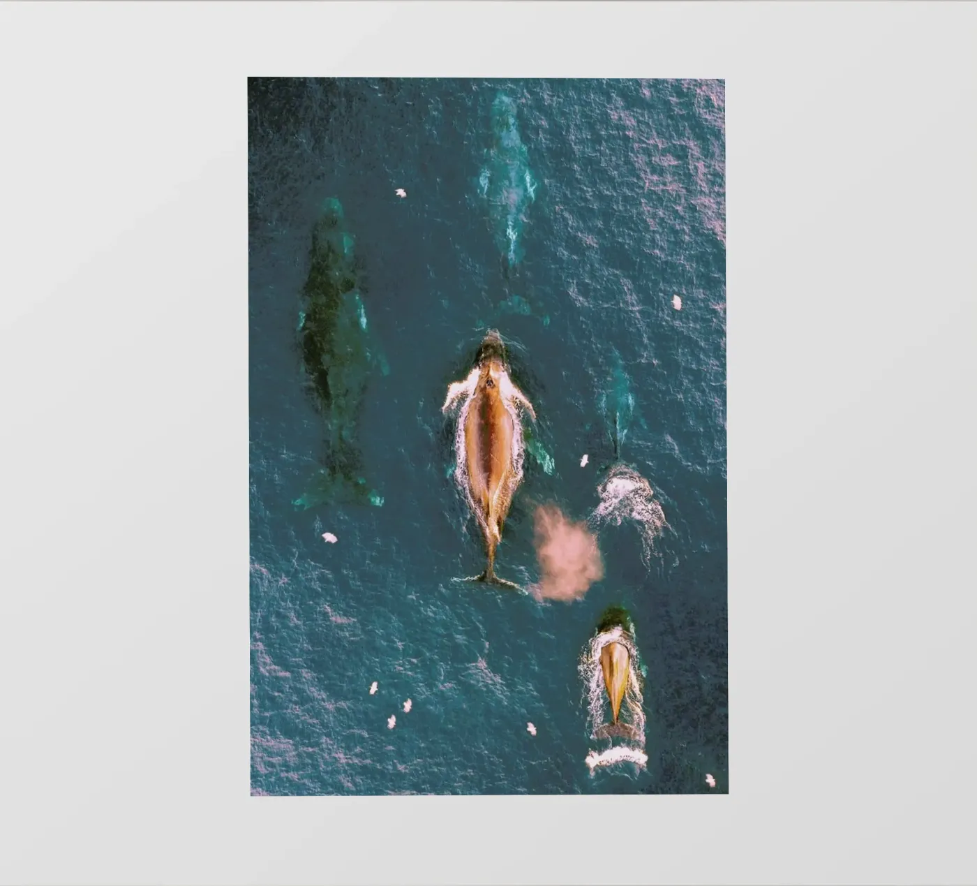 Making Waves telo in pvc da EyeEm Mobile GmbH