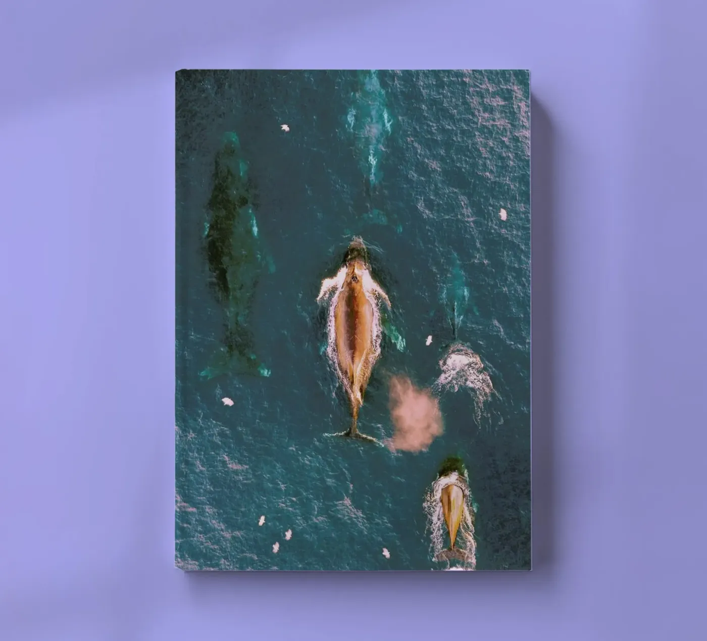 Making Waves notebook by EyeEm Mobile GmbH