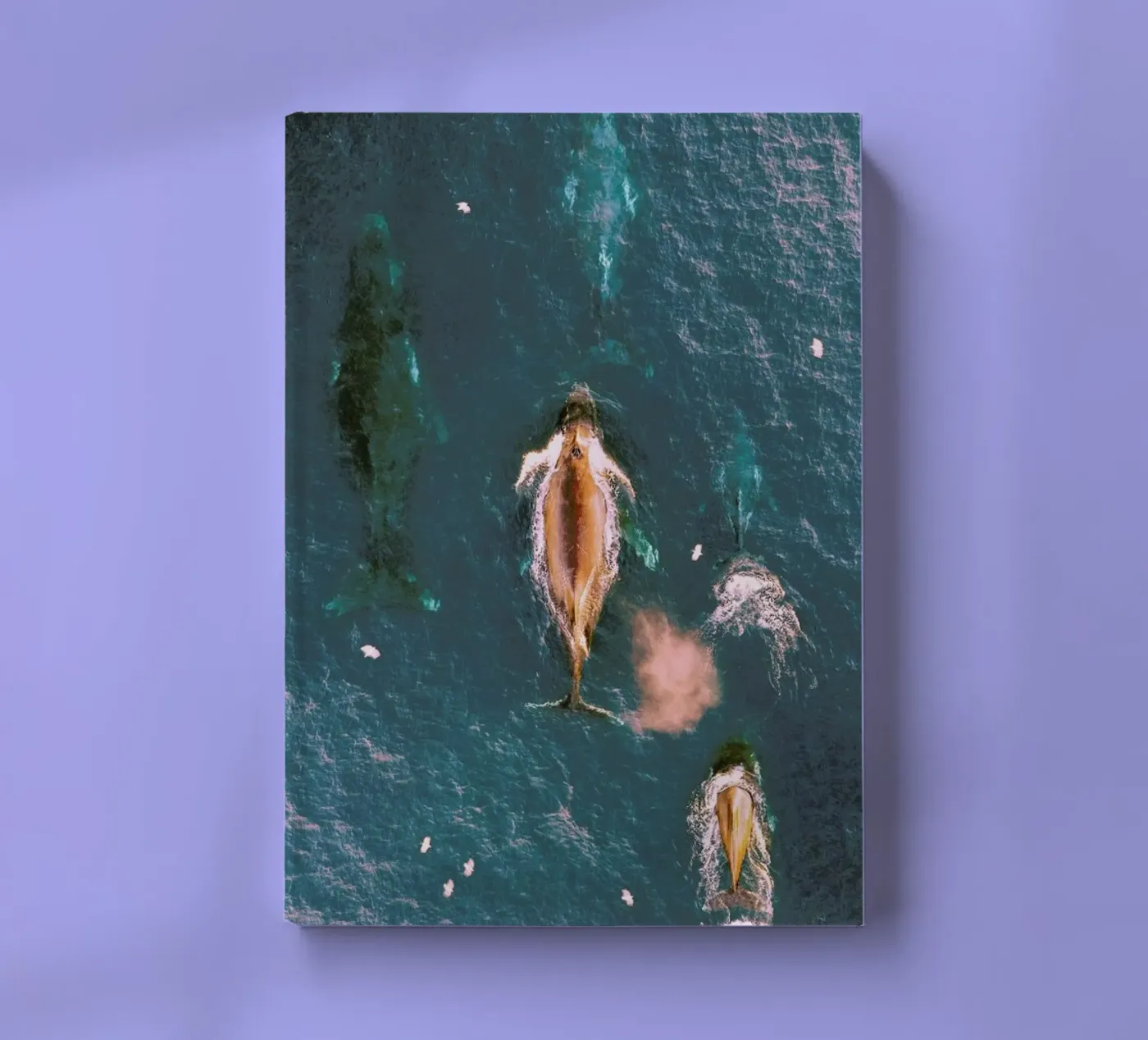 Making Waves notebook by EyeEm Mobile GmbH