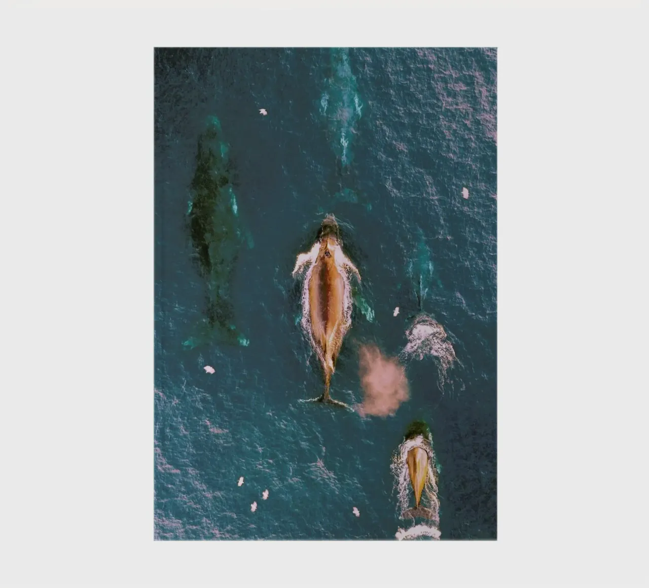 Making Waves notebook by EyeEm Mobile GmbH