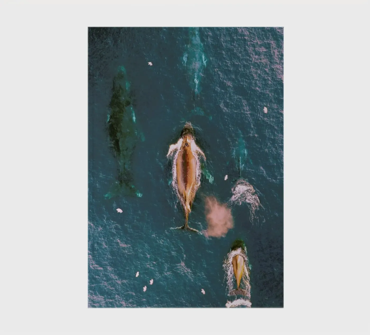 Making Waves notebook by EyeEm Mobile GmbH