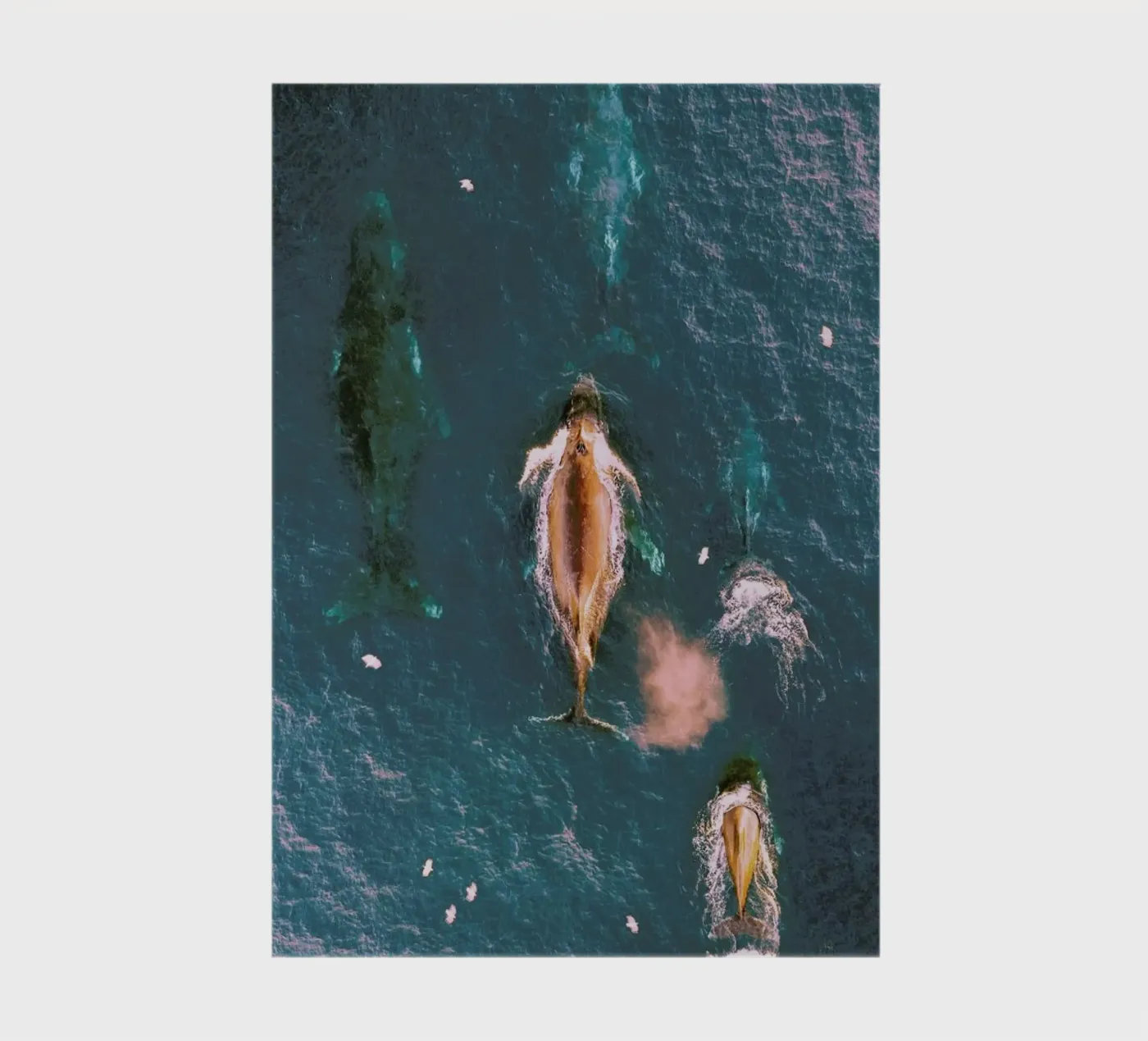 Making Waves notebook by EyeEm Mobile GmbH