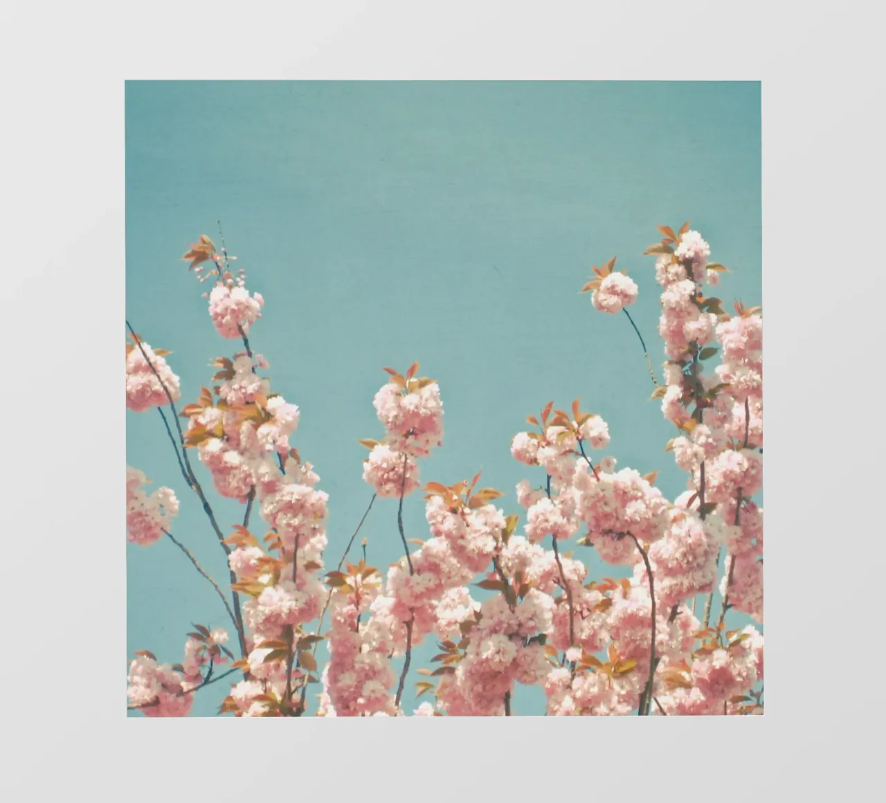 In fiore telo in pvc da Cassia Beck Photography