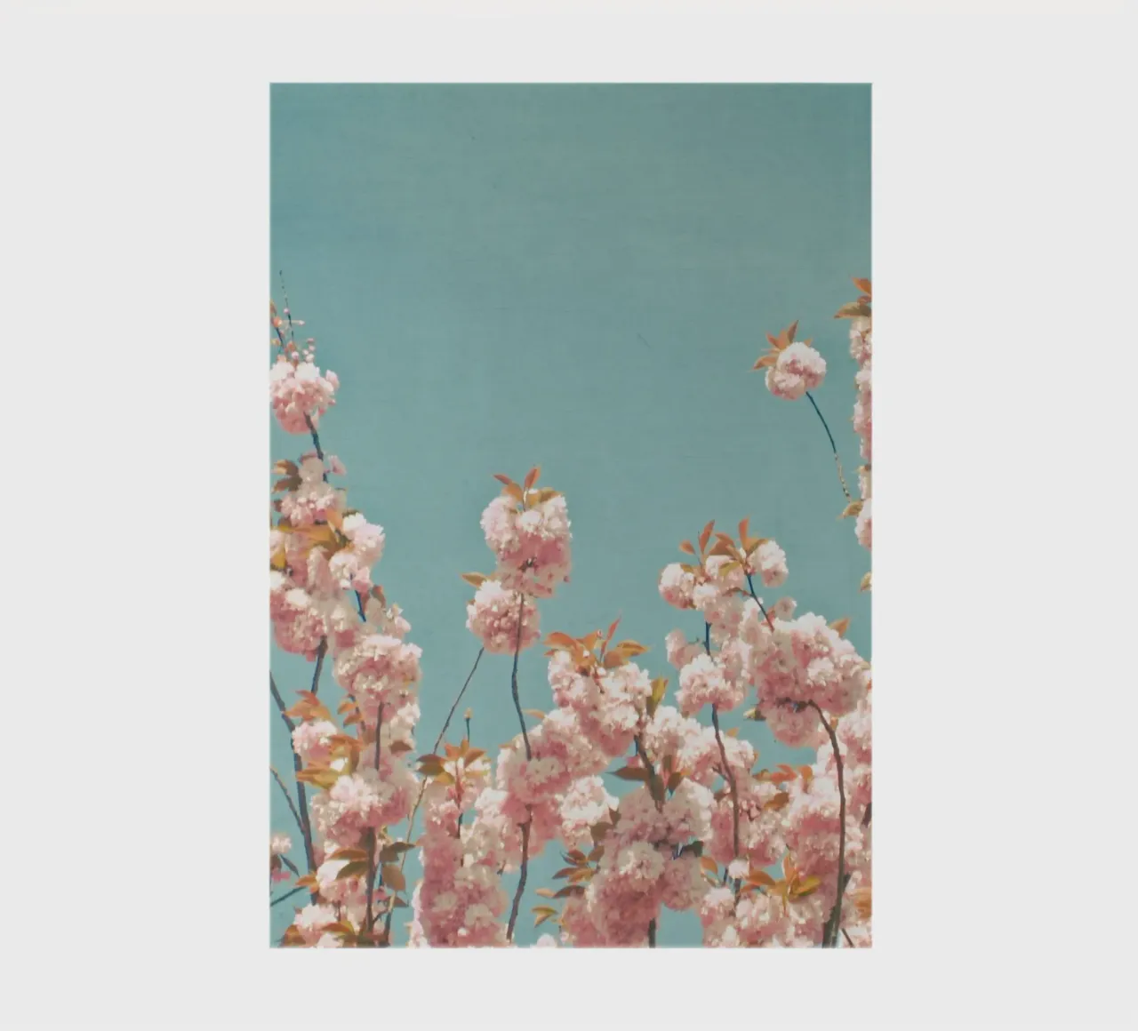In Bloom notebook by Cassia Beck Photography