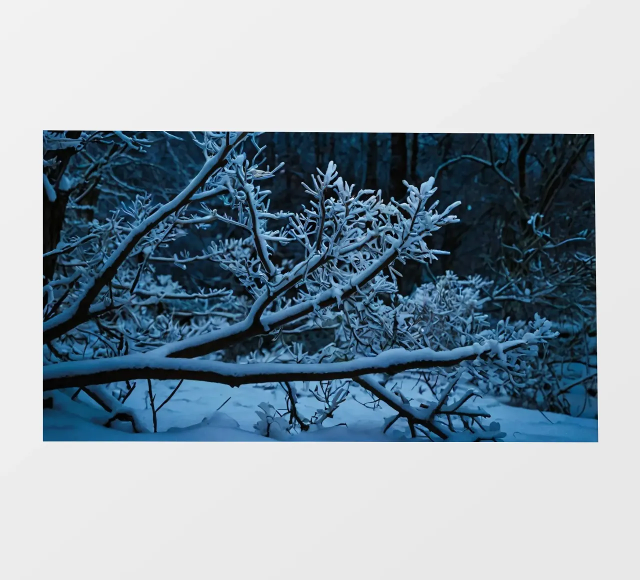 Snow-covered branches create a calm winter landscape photo wallpaper by DesignDoodle