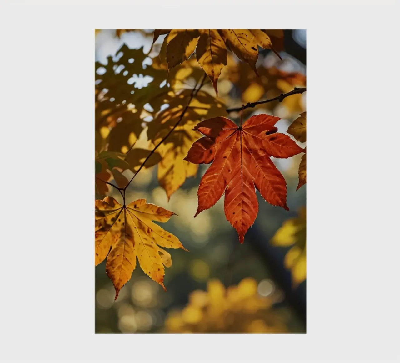 Feuilles d'automne colorées dans une forêt calme carnet de notes de DesignDoodle