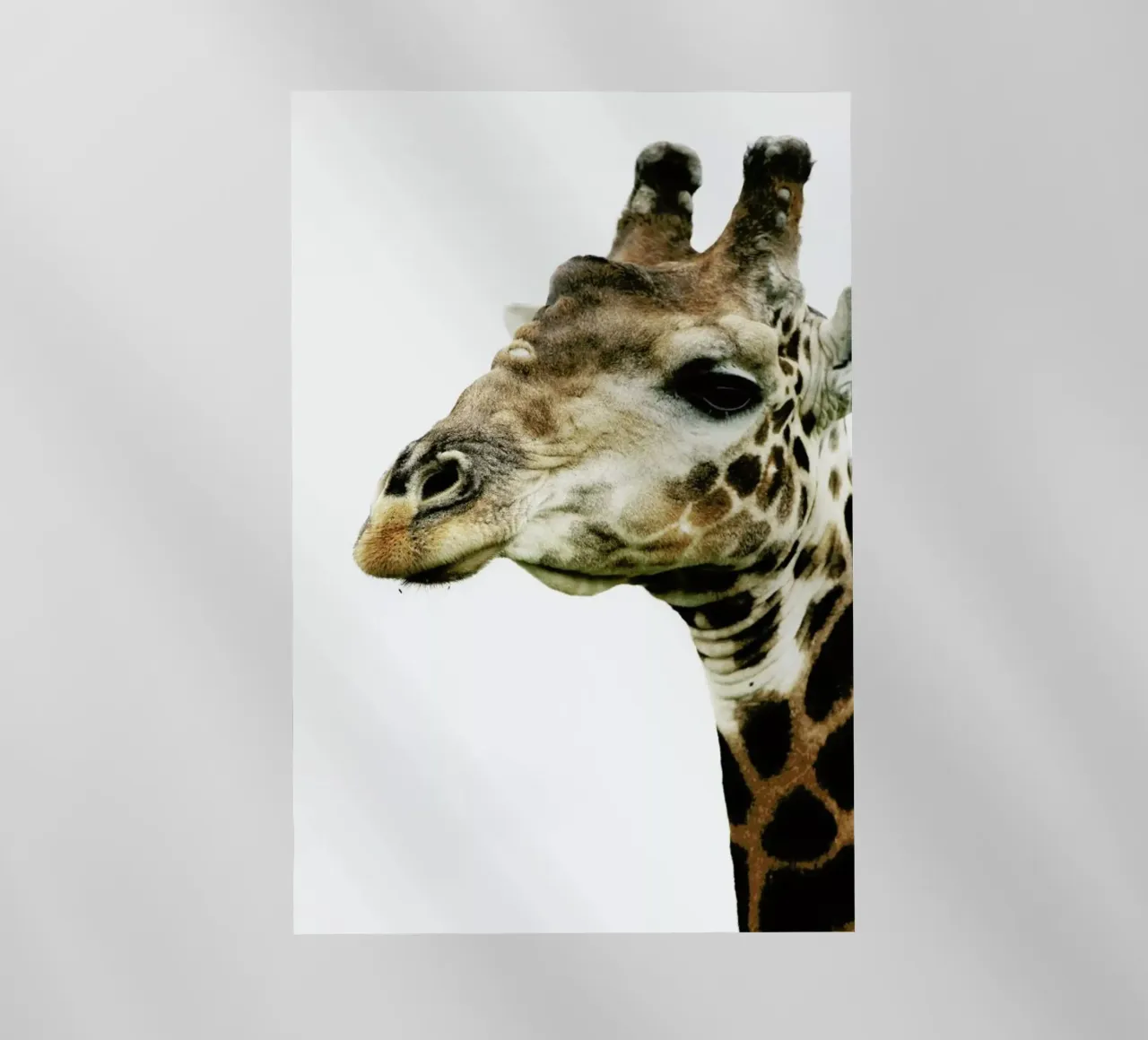 Hello pellicola backlit da Shot By Clint