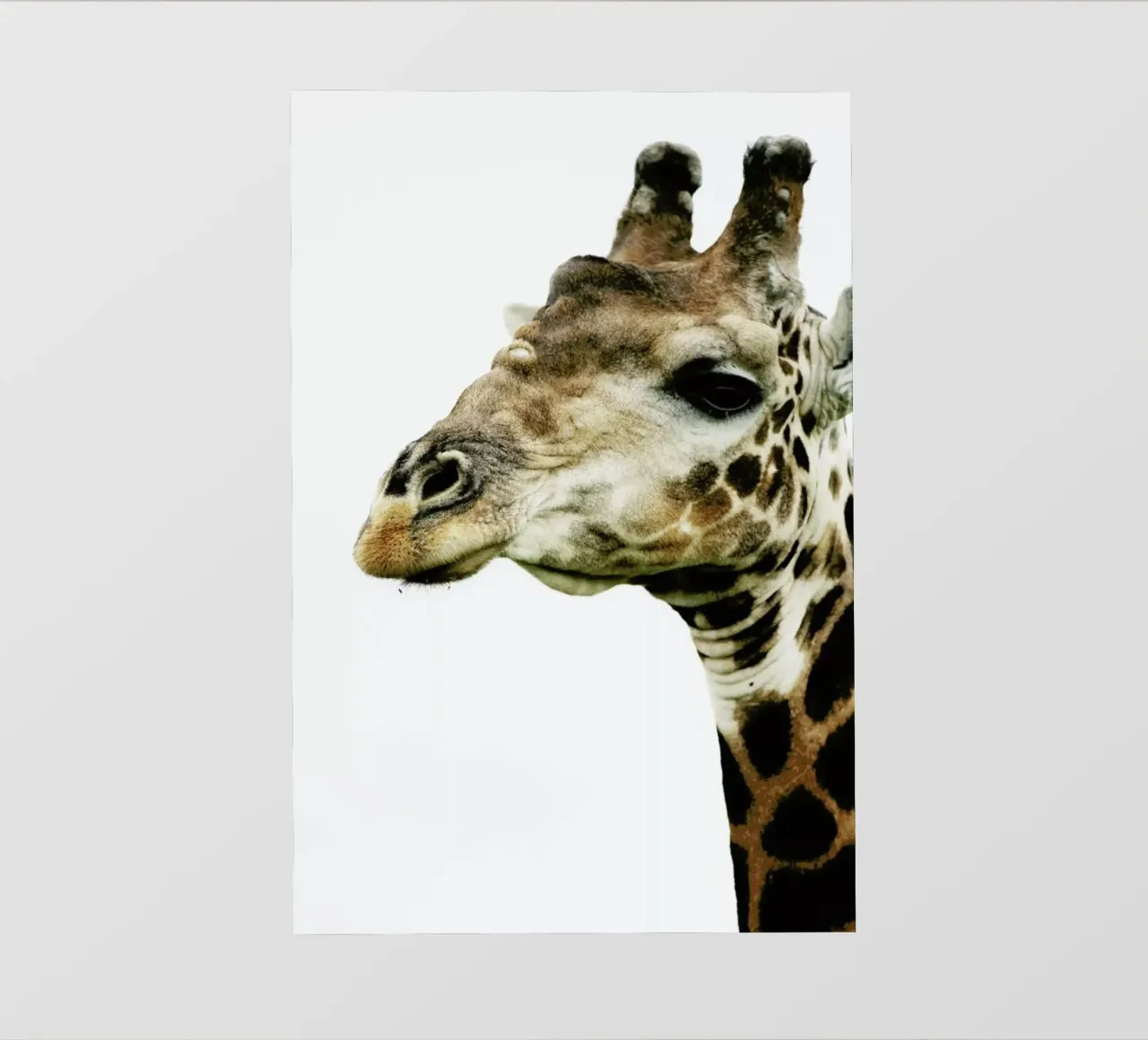 Hello pellicola backlit da Shot By Clint