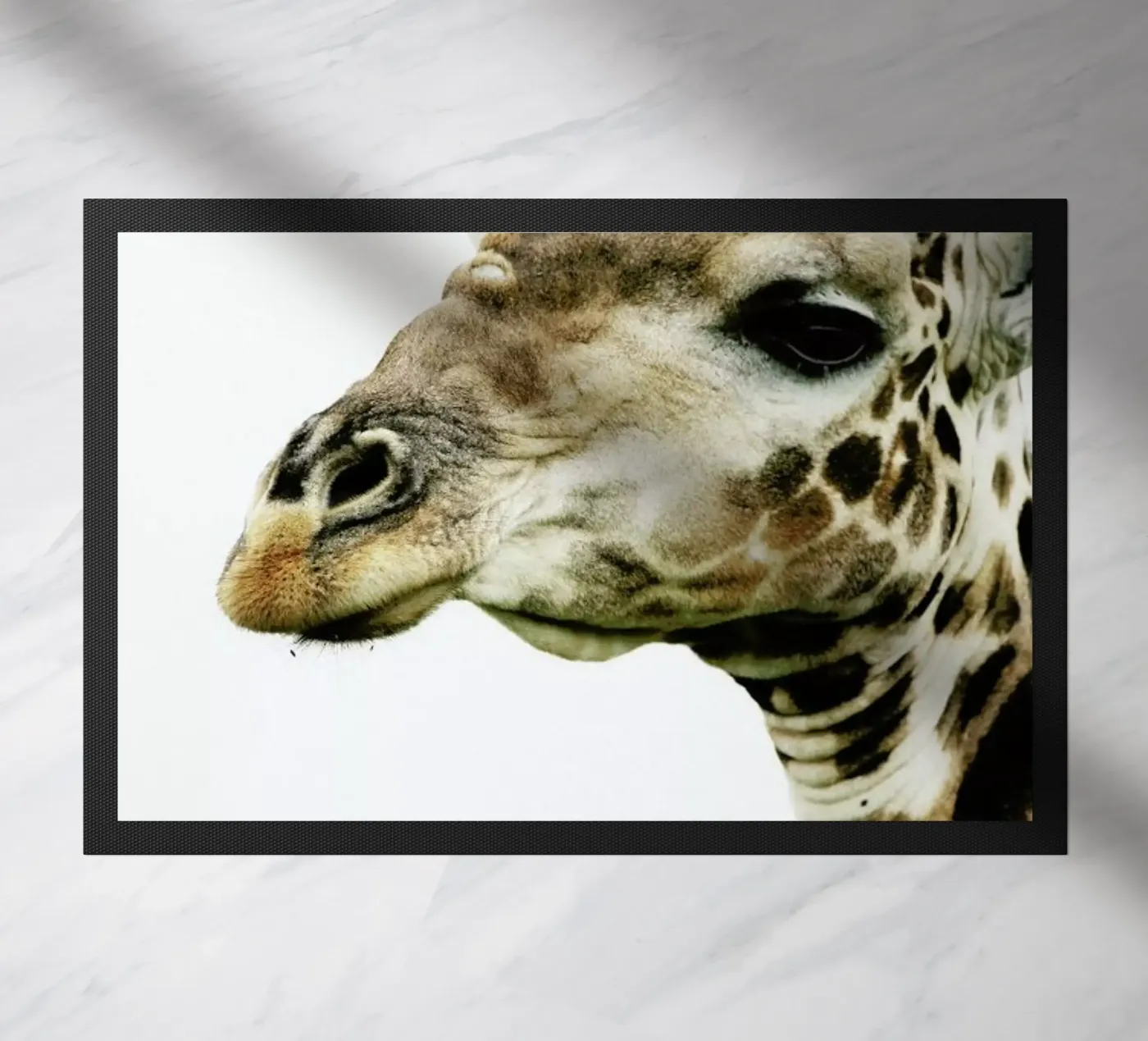 Hello zerbino da Shot By Clint