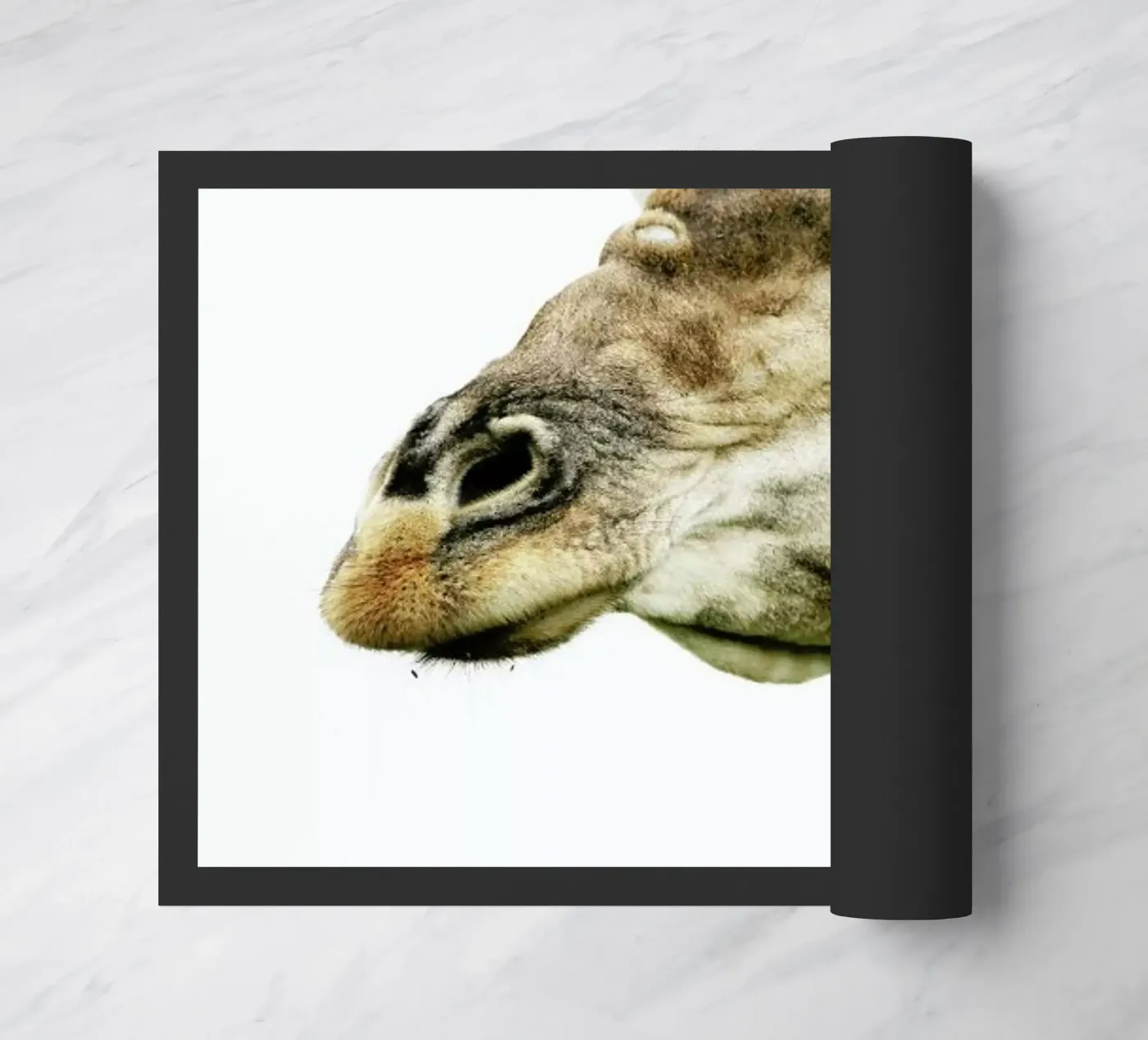 Hello zerbino da Shot By Clint