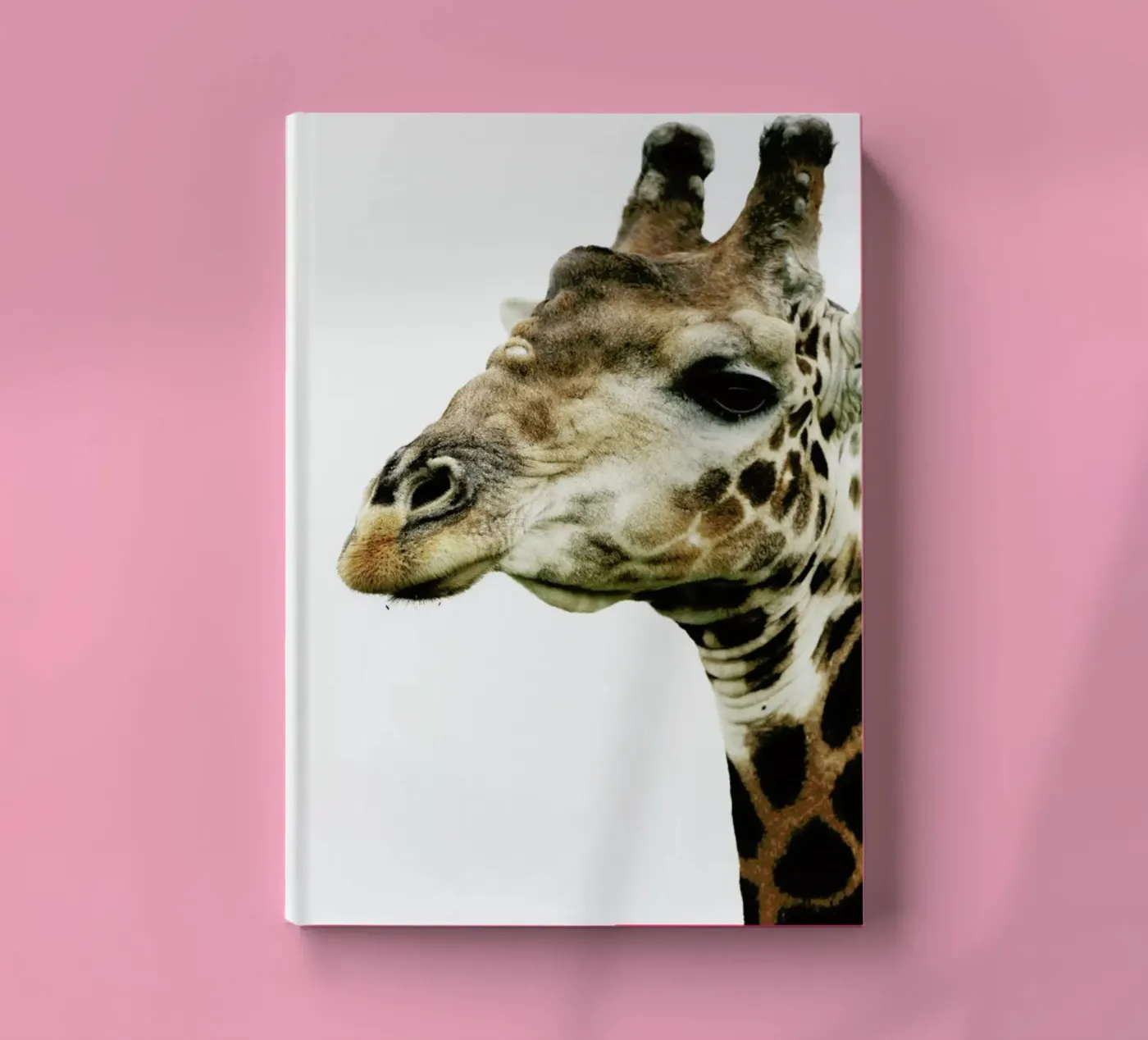 Hello notebook by Shot By Clint