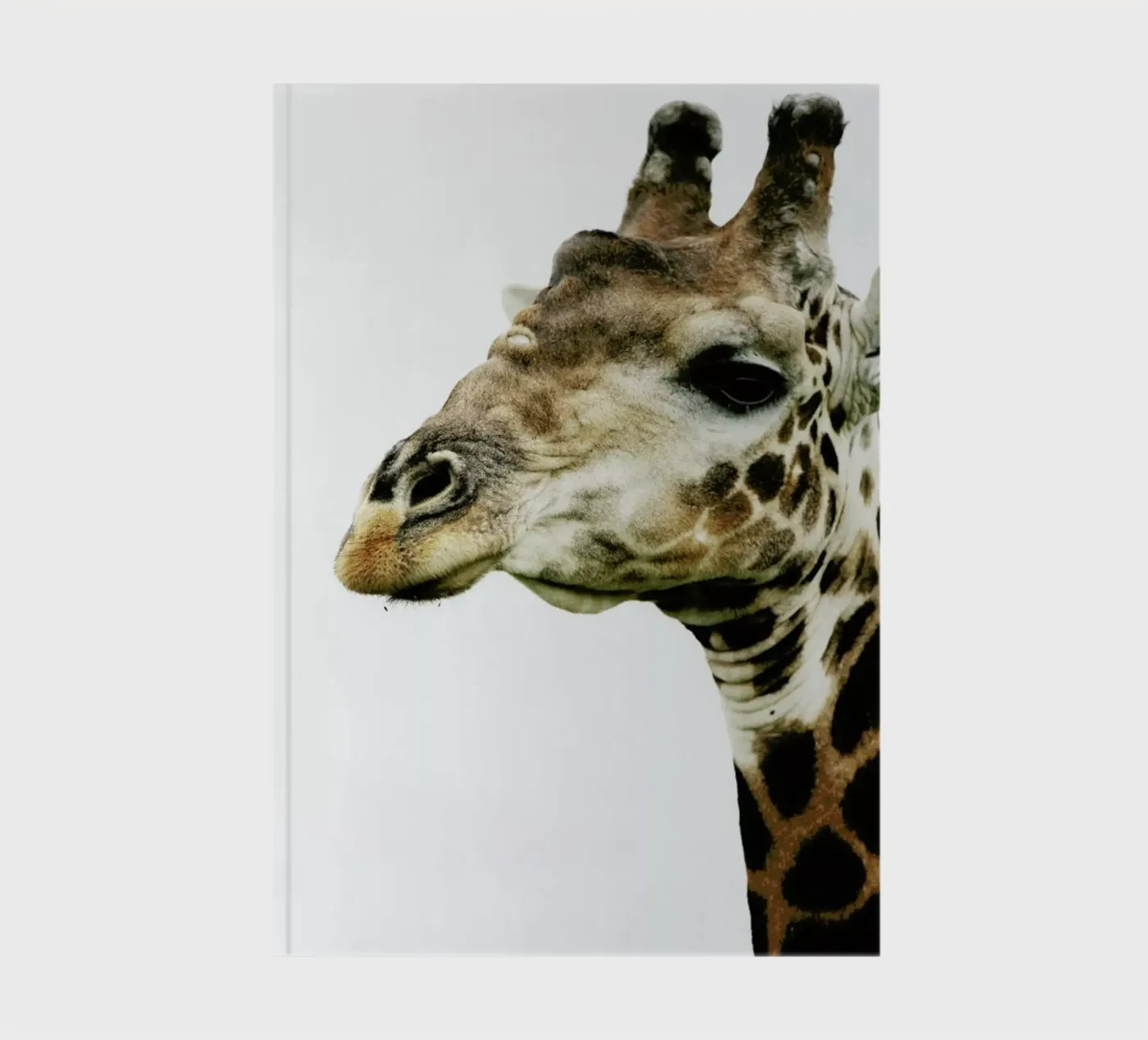 Hello notebook by Shot By Clint