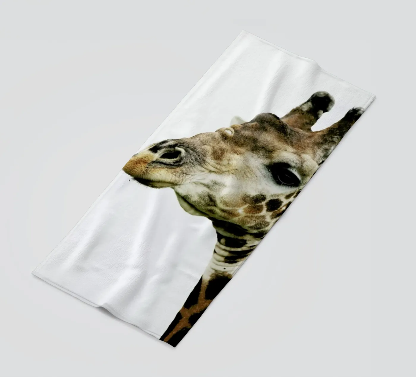 Hello telo mare da Shot By Clint