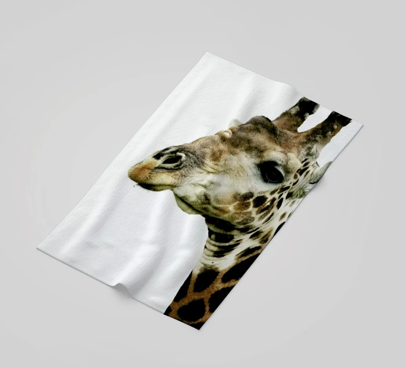 Hello telo mare da Shot By Clint