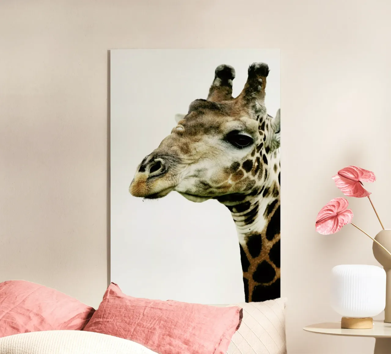 Hello plexiglass da Shot By Clint