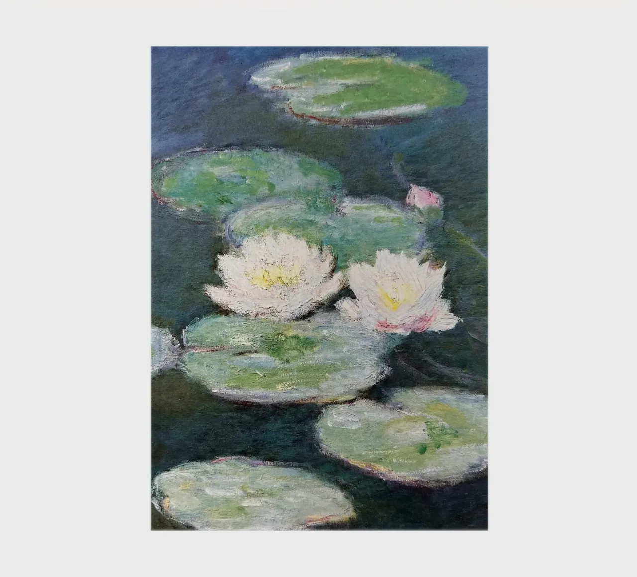water lily in the marsh claude monet notebook by belong shop