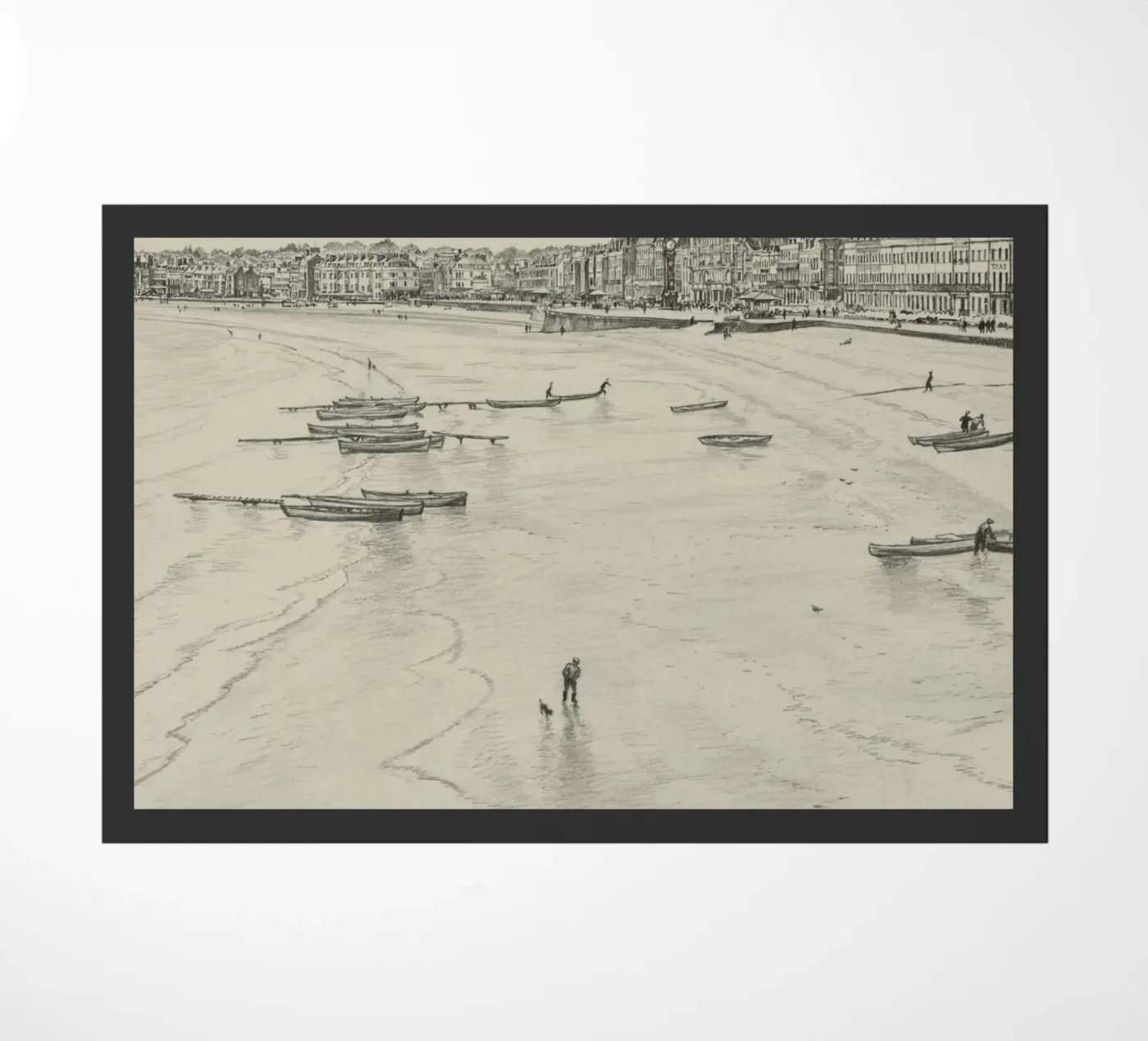 cleverland zerbino da NEW LIFE