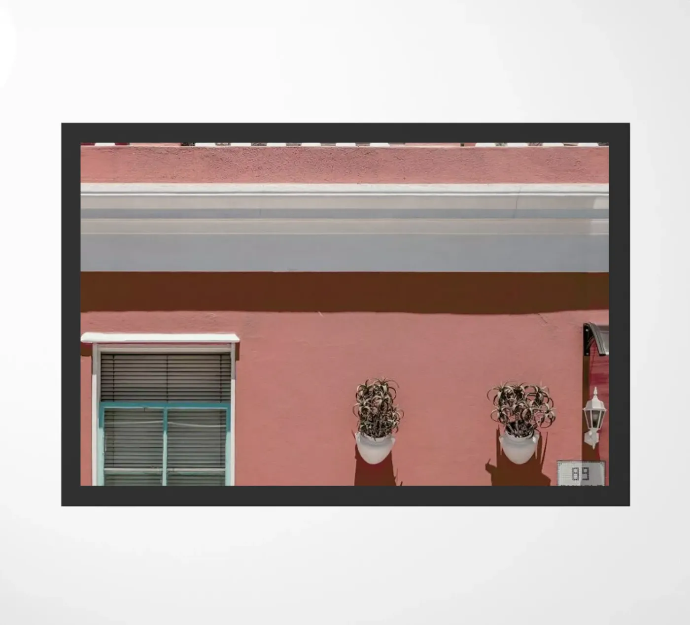 Malay Pride zerbino da Shot By Clint